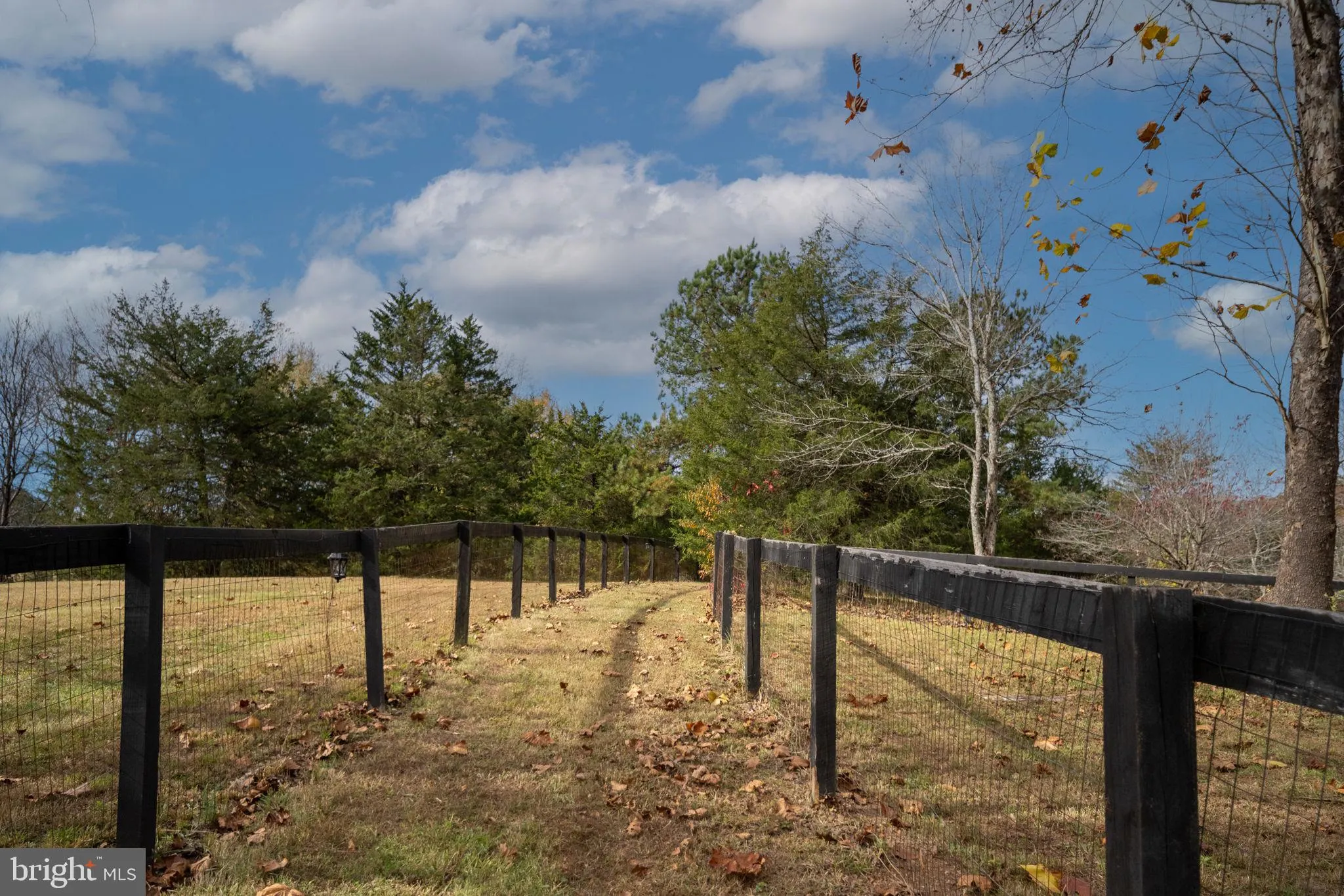 Rhoadesville, Virginia 22542, United States, 4 Bedrooms Bedrooms, ,3 BathroomsBathrooms,Residential,Coming Soon,237713