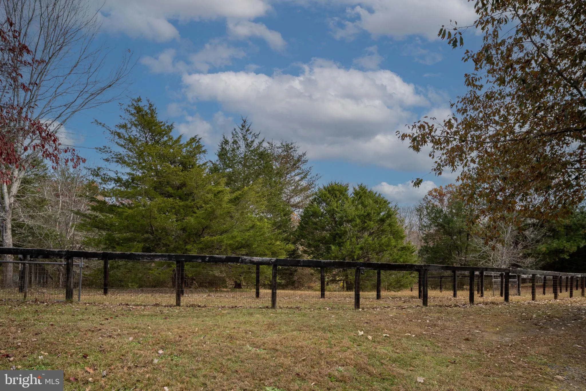 Rhoadesville, Virginia 22542, United States, 4 Bedrooms Bedrooms, ,3 BathroomsBathrooms,Residential,Coming Soon,237713