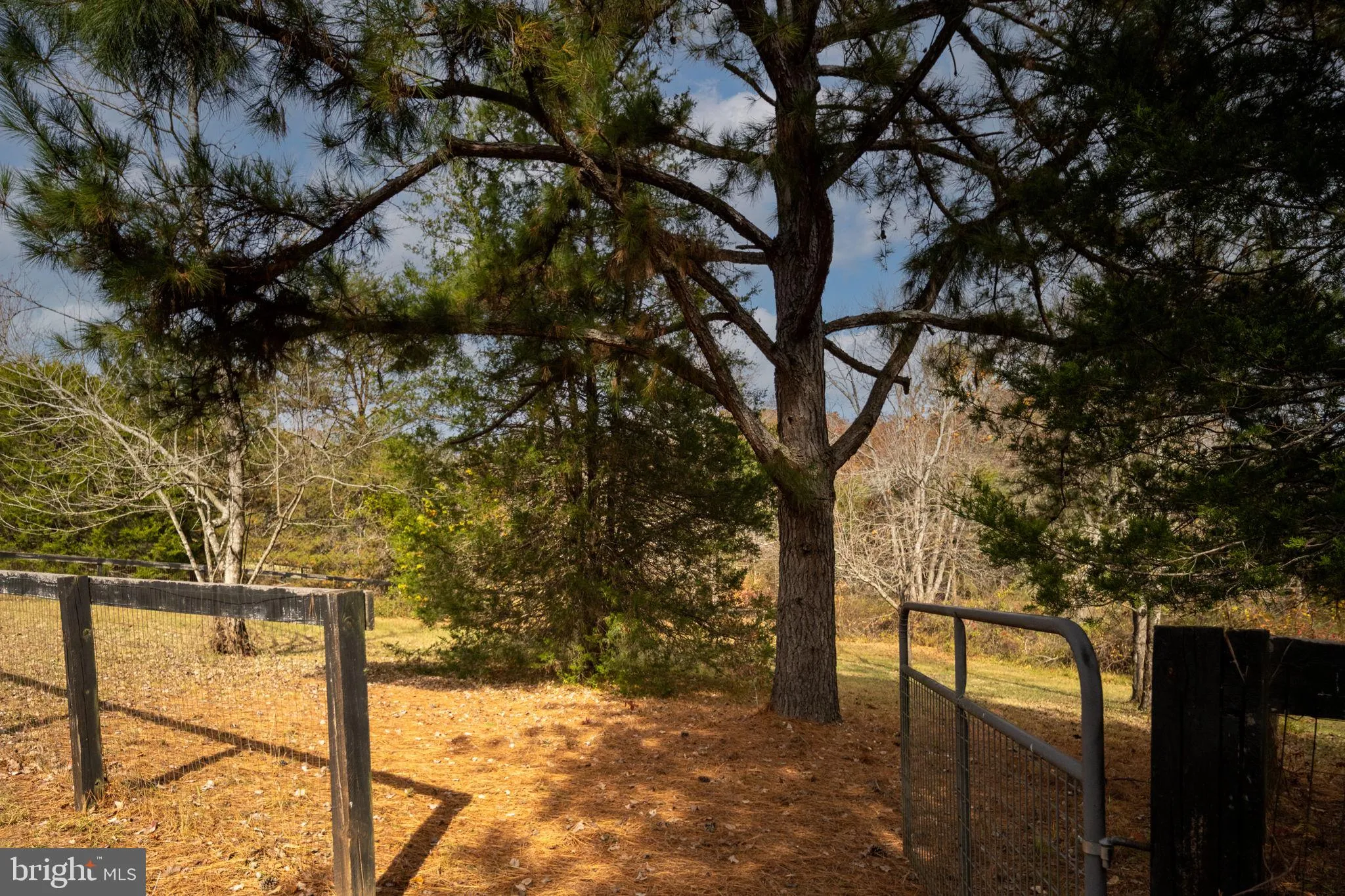 Rhoadesville, Virginia 22542, United States, 4 Bedrooms Bedrooms, ,3 BathroomsBathrooms,Residential,Coming Soon,237713