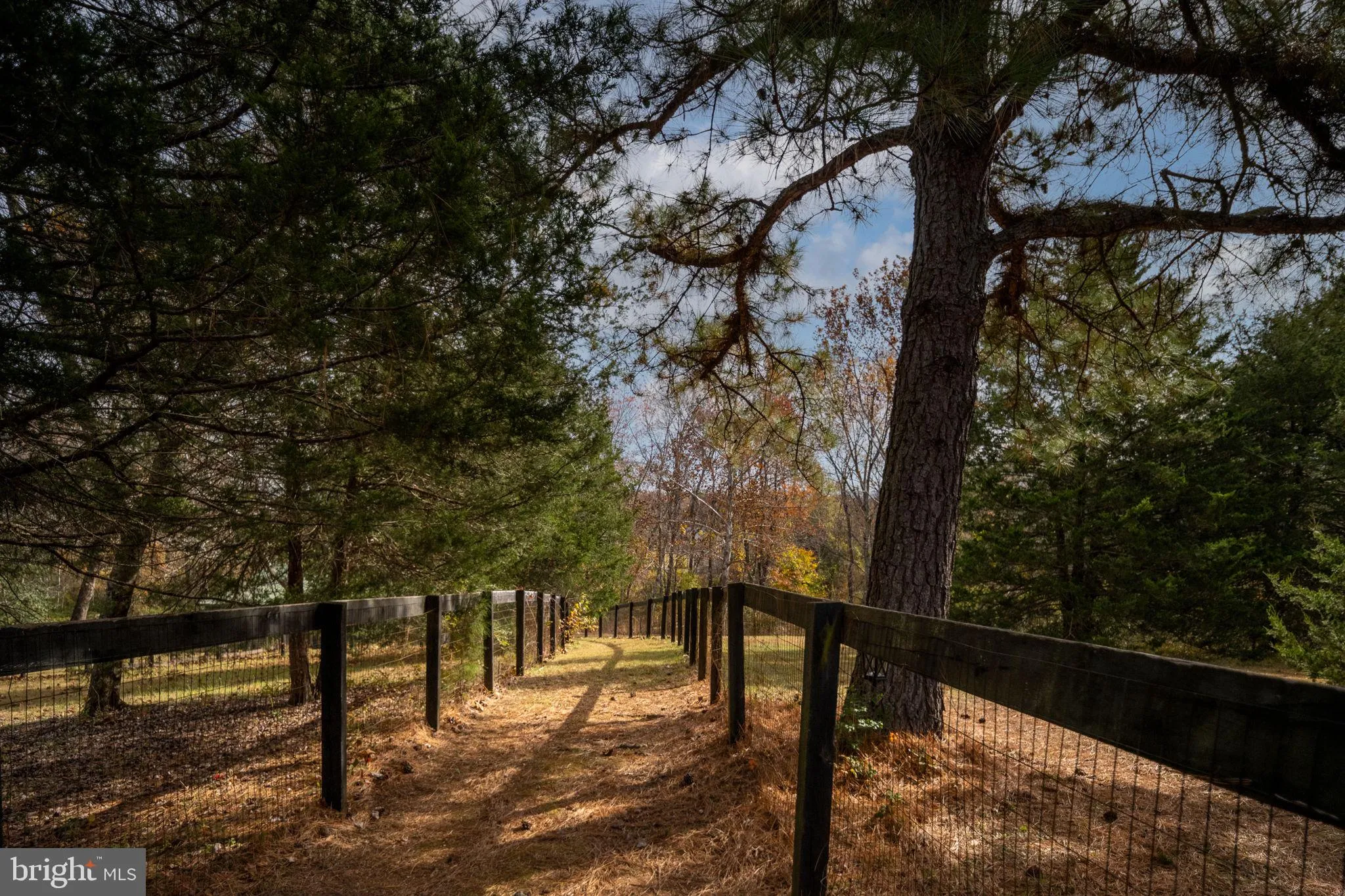 Rhoadesville, Virginia 22542, United States, 4 Bedrooms Bedrooms, ,3 BathroomsBathrooms,Residential,Coming Soon,237713