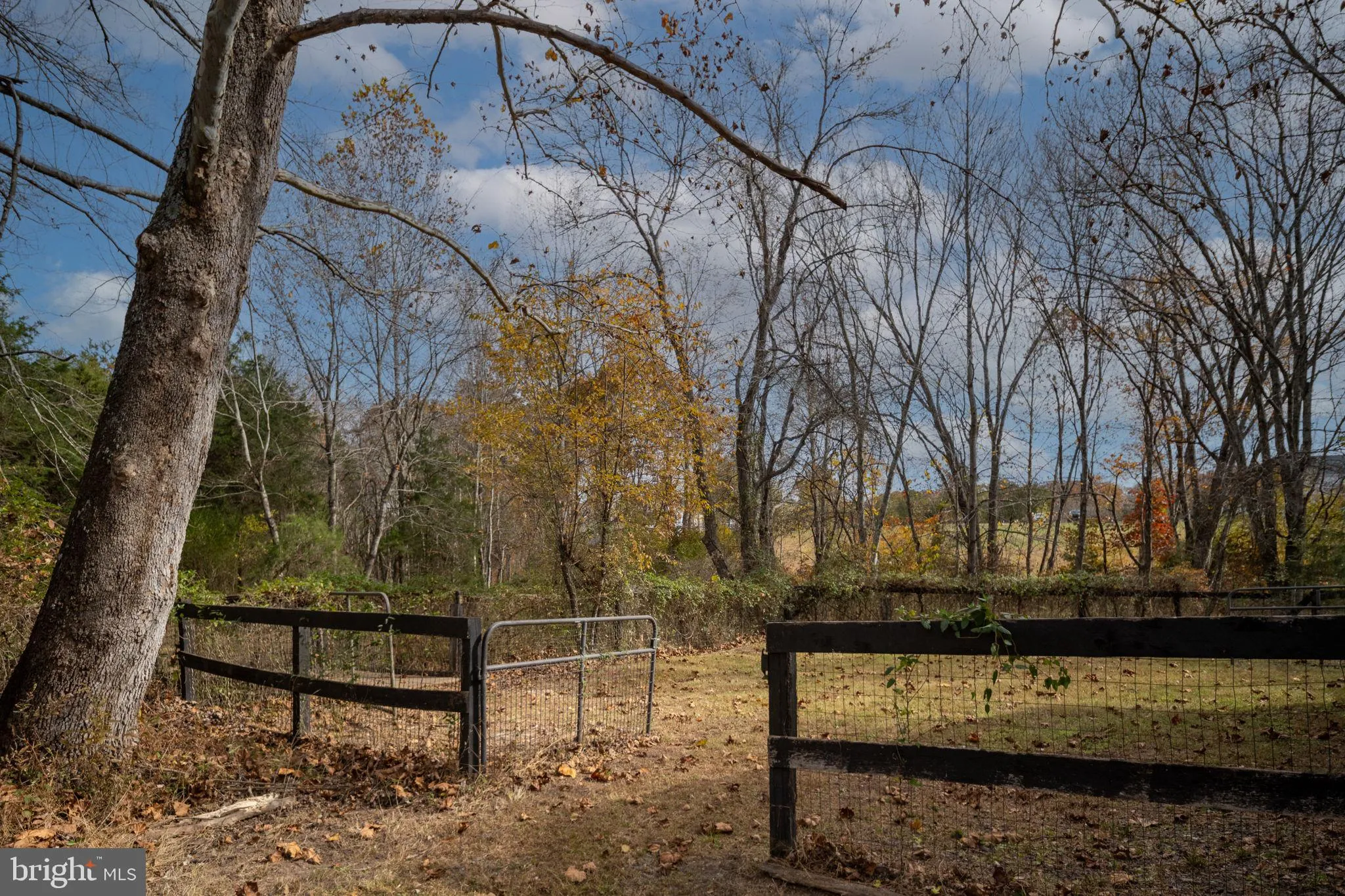 Rhoadesville, Virginia 22542, United States, 4 Bedrooms Bedrooms, ,3 BathroomsBathrooms,Residential,Coming Soon,237713