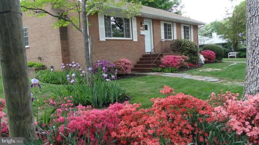 Classic mid-Century rambler on fabulous corner lot, steps to Glen Carlin Park & Library, moments to Ballston & an easy commute to DC via Route 50. Cozy kitchen open to dining room, living room w/fireplace, large rec room with built-ins and fire place. Clean and comfortable. Wonderful historic neighborhood surrounded near parkland on no- through street.Cardinal Title for closing