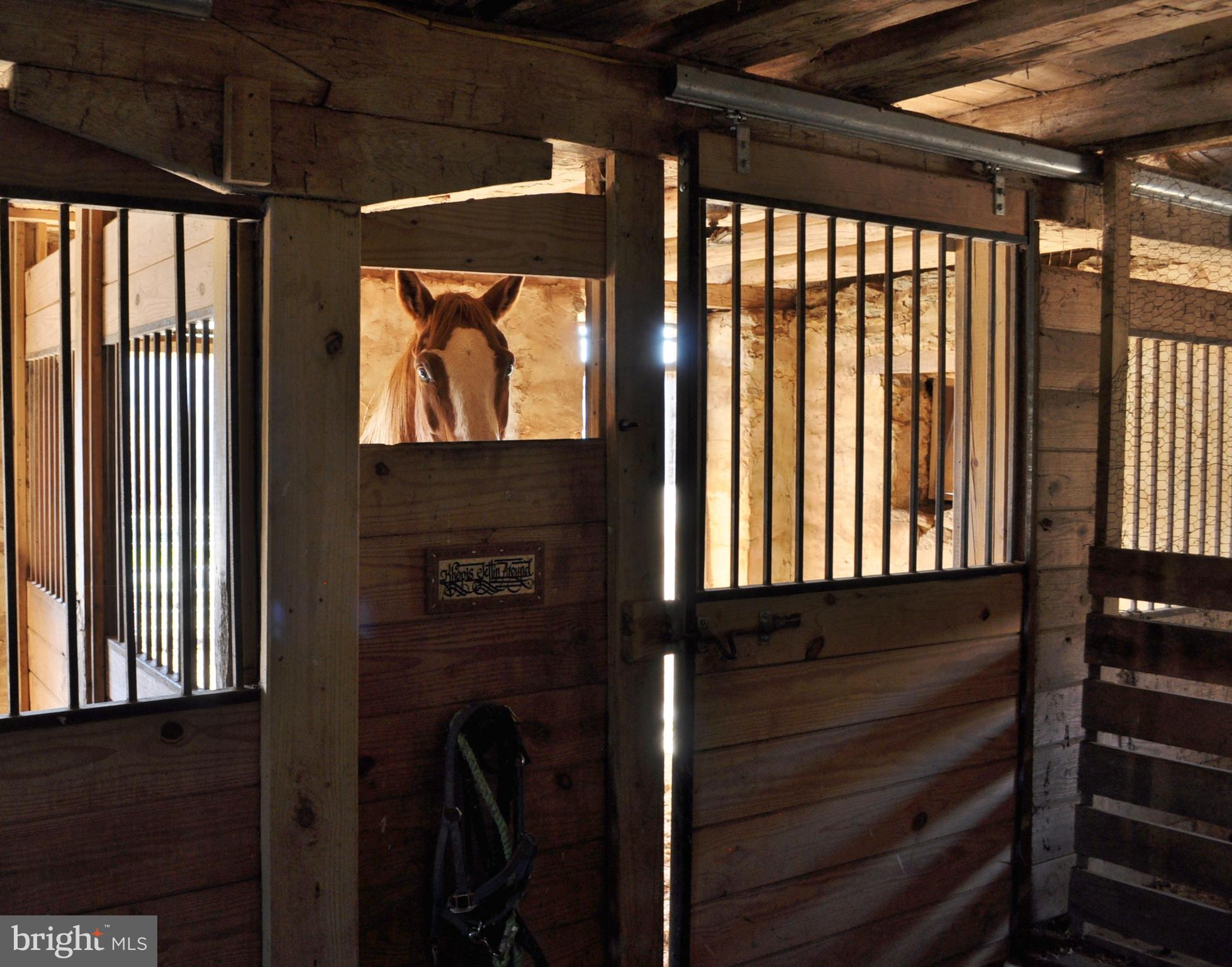 CODORUS TWP - Residential