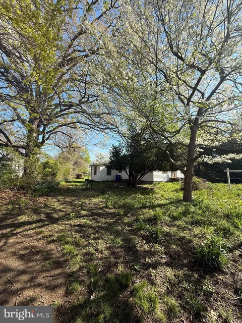 MLS: VAAR2056086