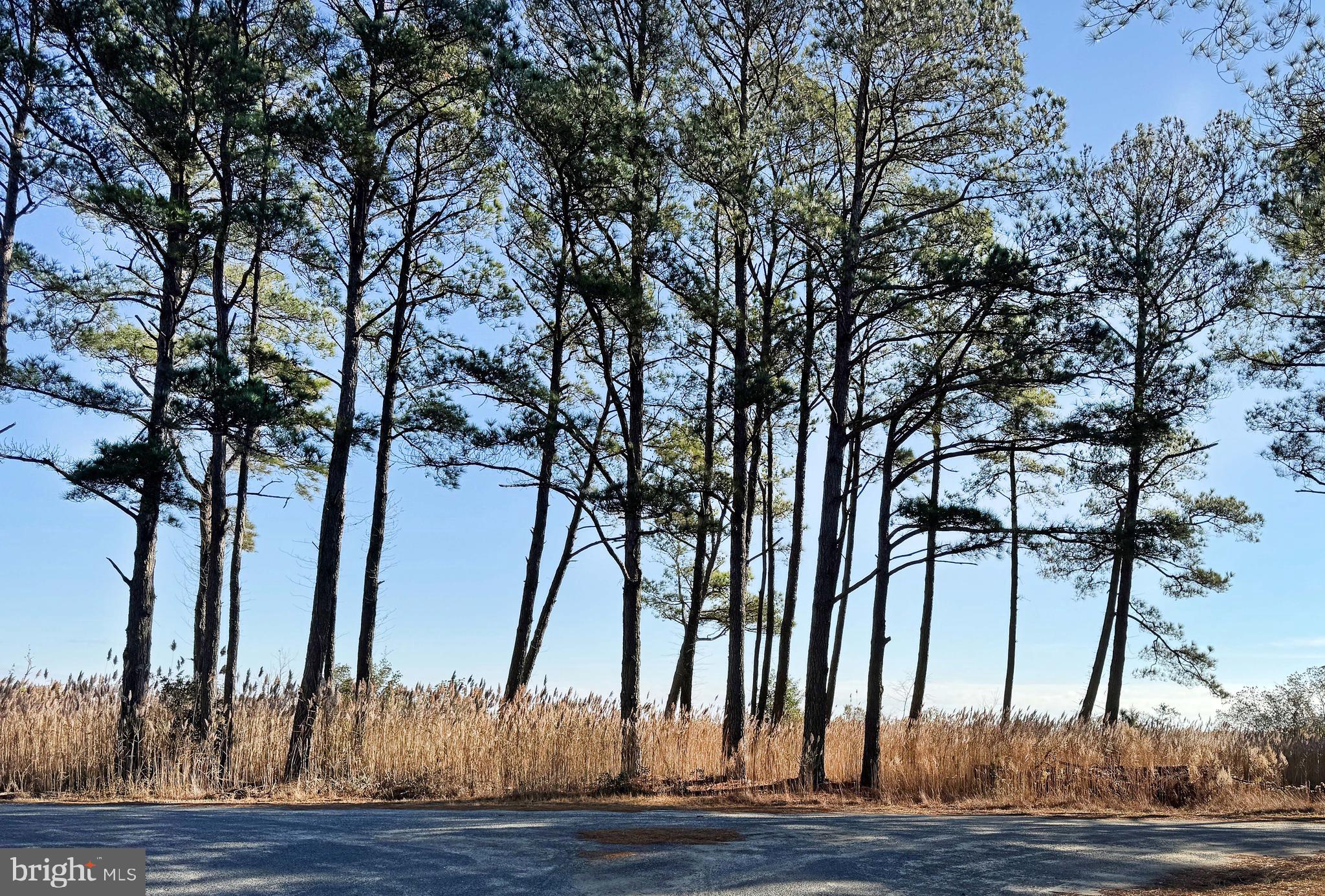 CAPTAIN'S COVE - Residential