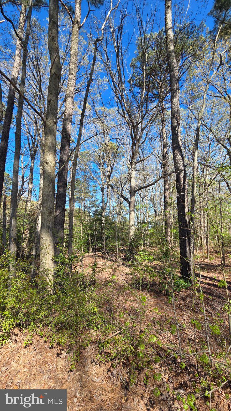 This prime residential land parcel, located in the desirable ROMANCOKE ON THE BAY subdivision in Stevensville, MD, offers a unique investment or building opportunity with significant potential for appreciation. Spanning 0.56 acres, this corner lot features wooded areas, providing both privacy and a natural aesthetic that enhances the property's overall appeal. 
Strategically positioned just about four blocks from the picturesque Eastern Bay, this lot benefits from proximity to water-oriented activities without the premium of direct waterfront ownership. Investors can capitalize on the growing demand for properties near water bodies, making this an attractive option for future development. 
The community amenities are a standout feature, including a boat ramp, clubhouse, picnic area, and jogging/walking paths. These facilities not only enhance the quality of life for residents but also increase the property's desirability to potential buyers or renters. With super low association fees, investors can enjoy the benefits of community amenities without the burden of high costs. 
The lot's corner location alongside the South Kent Island walking path provides ample privacy and accessibility, which can be advantageous for future residential building projects. 
The surrounding area is poised for growth, making this property an excellent long-term investment. As demand for residential properties near water continues to rise, this lot presents a compelling opportunity for those looking to enter the real estate market or expand their portfolio. 
In summary, this 0.56-acre corner lot in ROMANCOKE ON THE BAY is not just a piece of land; it's a strategic investment in a thriving community with abundant amenities and proximity to Eastern Bay. With the potential for appreciation and the appeal of a water-oriented lifestyle, this property is a must-consider for savvy investors looking to maximize their returns or those seeking to build their dream home.