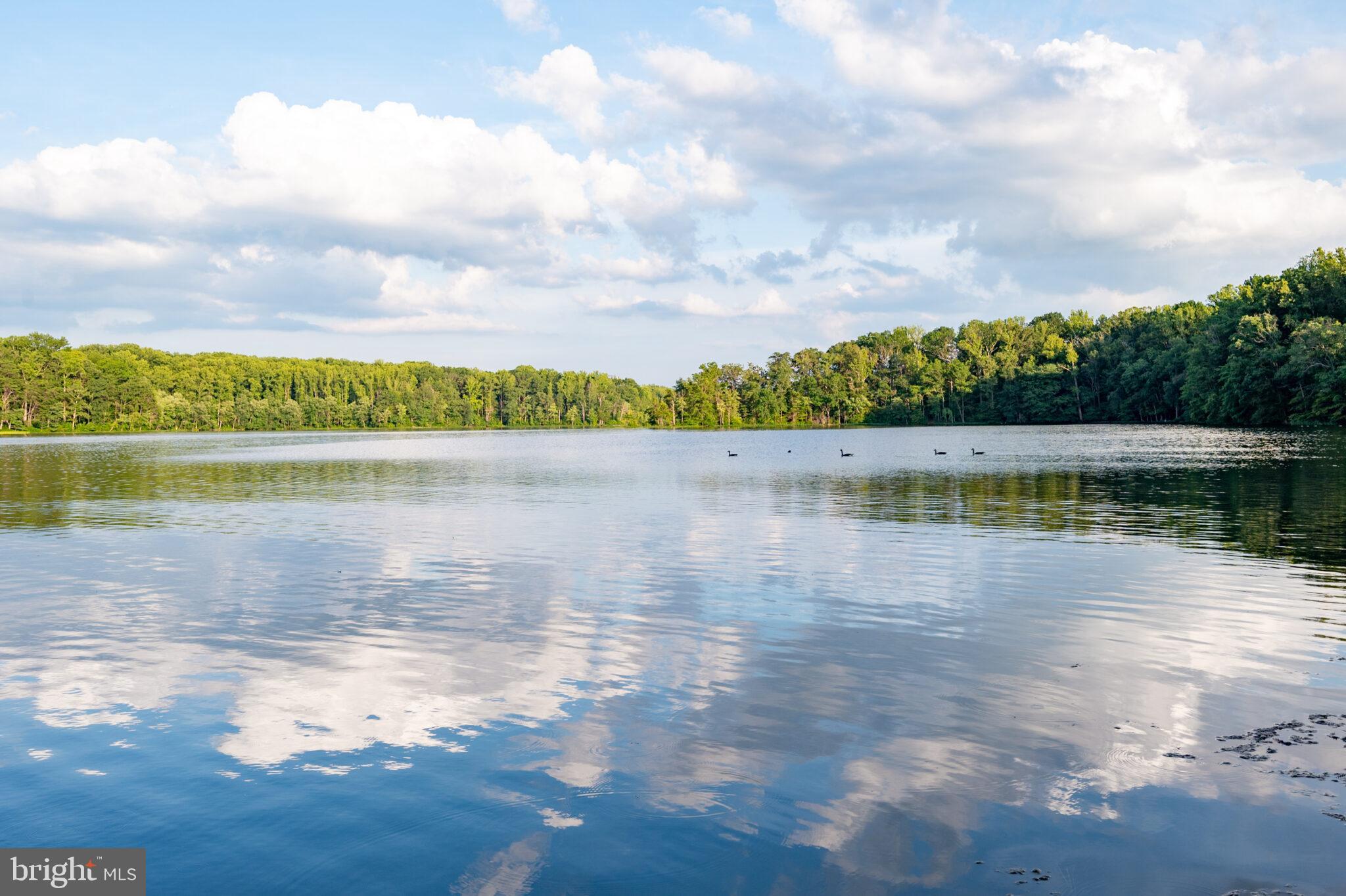 SOUTH RUN - Residential