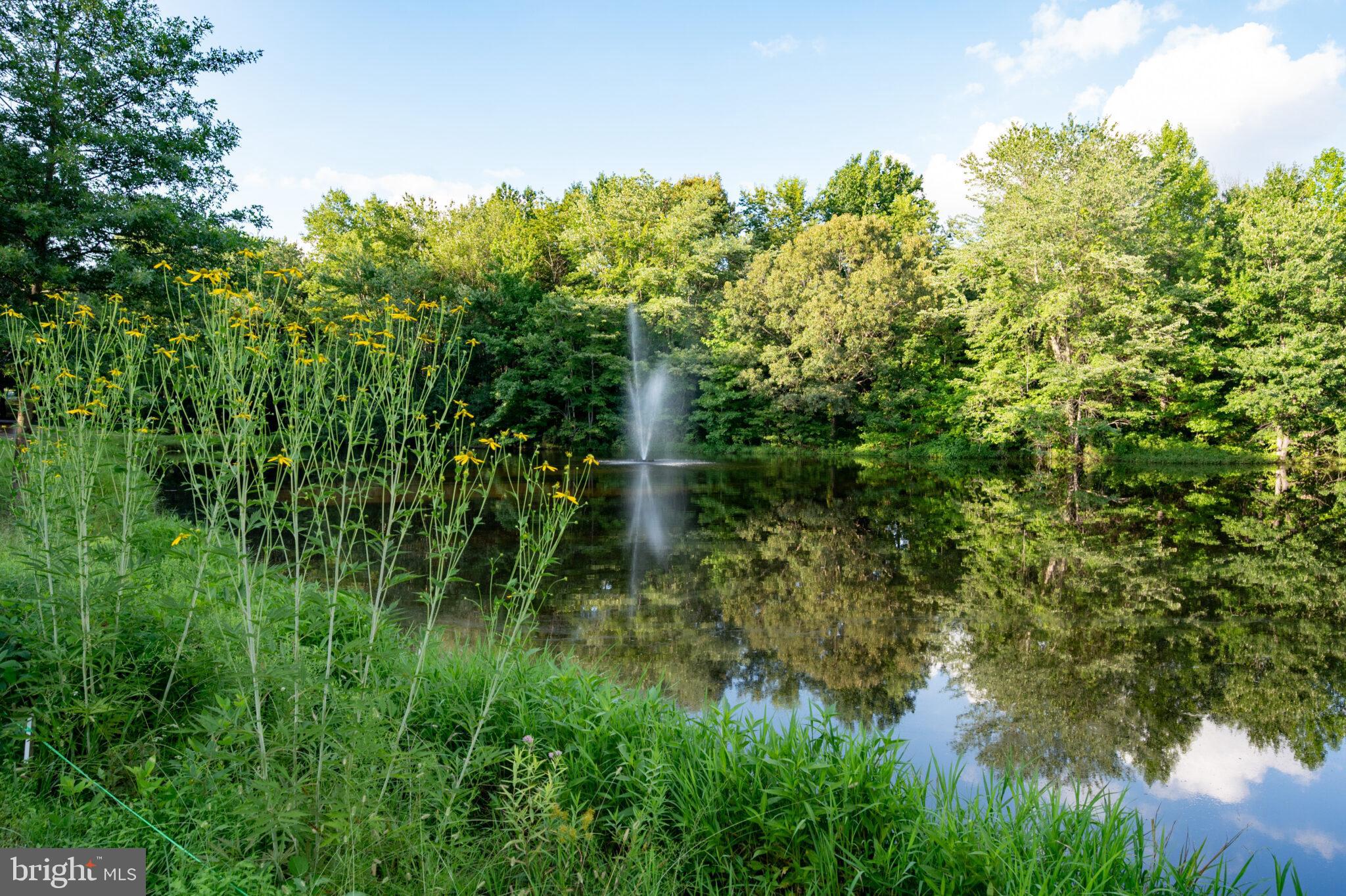 SOUTH RUN - Residential