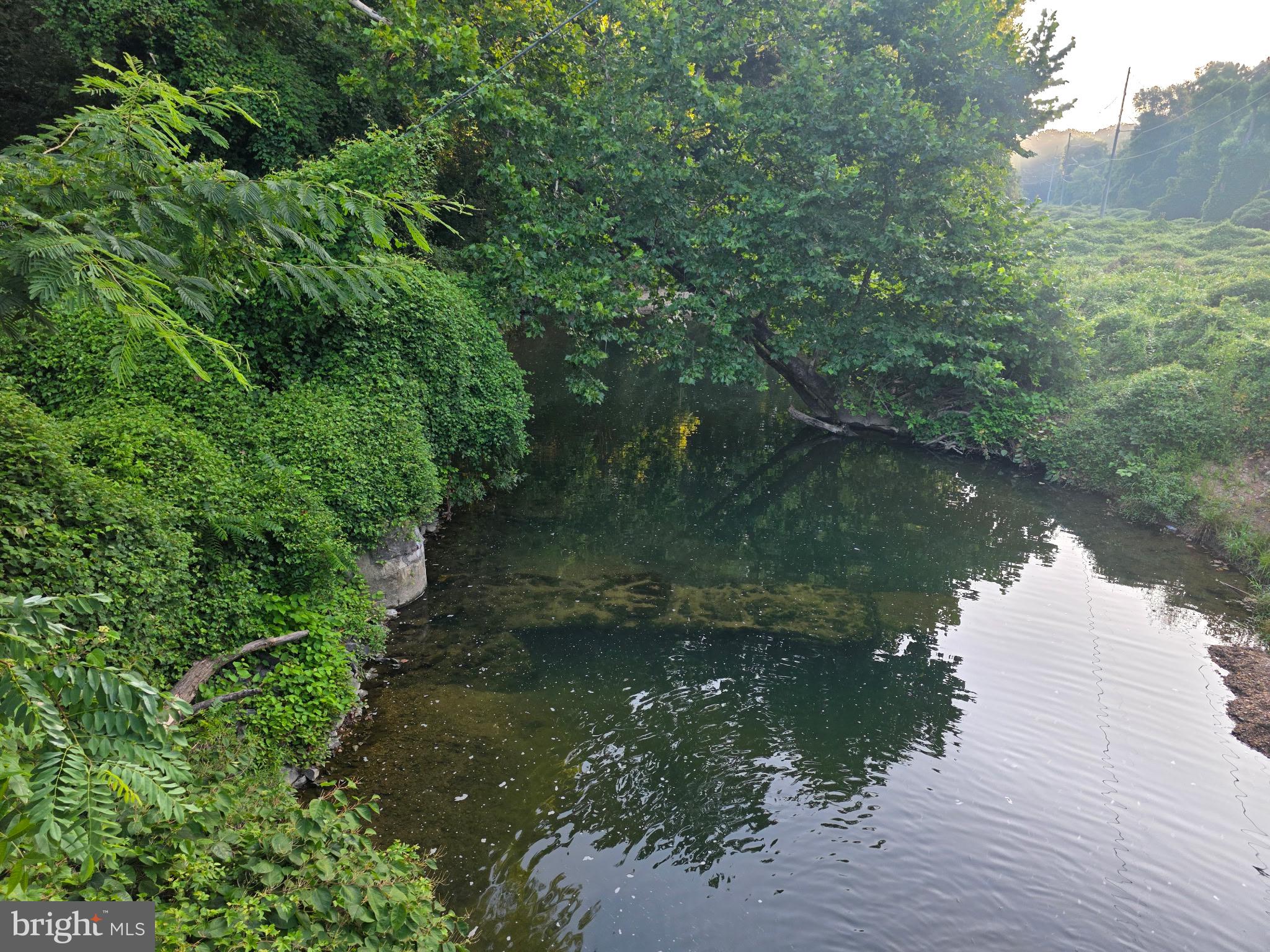 EL NIDO - Residential Lease