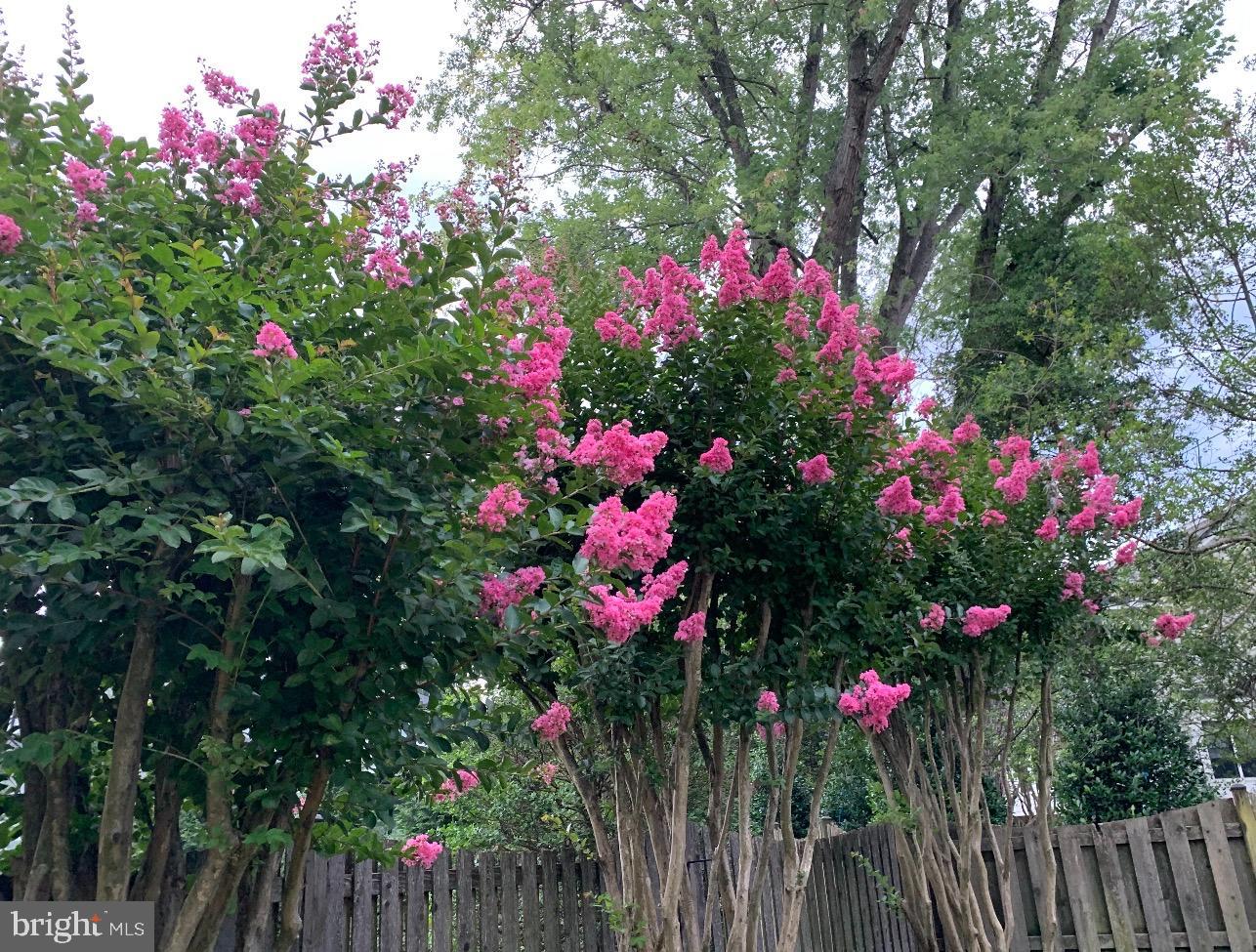 MCLEAN KNOLLS - Residential