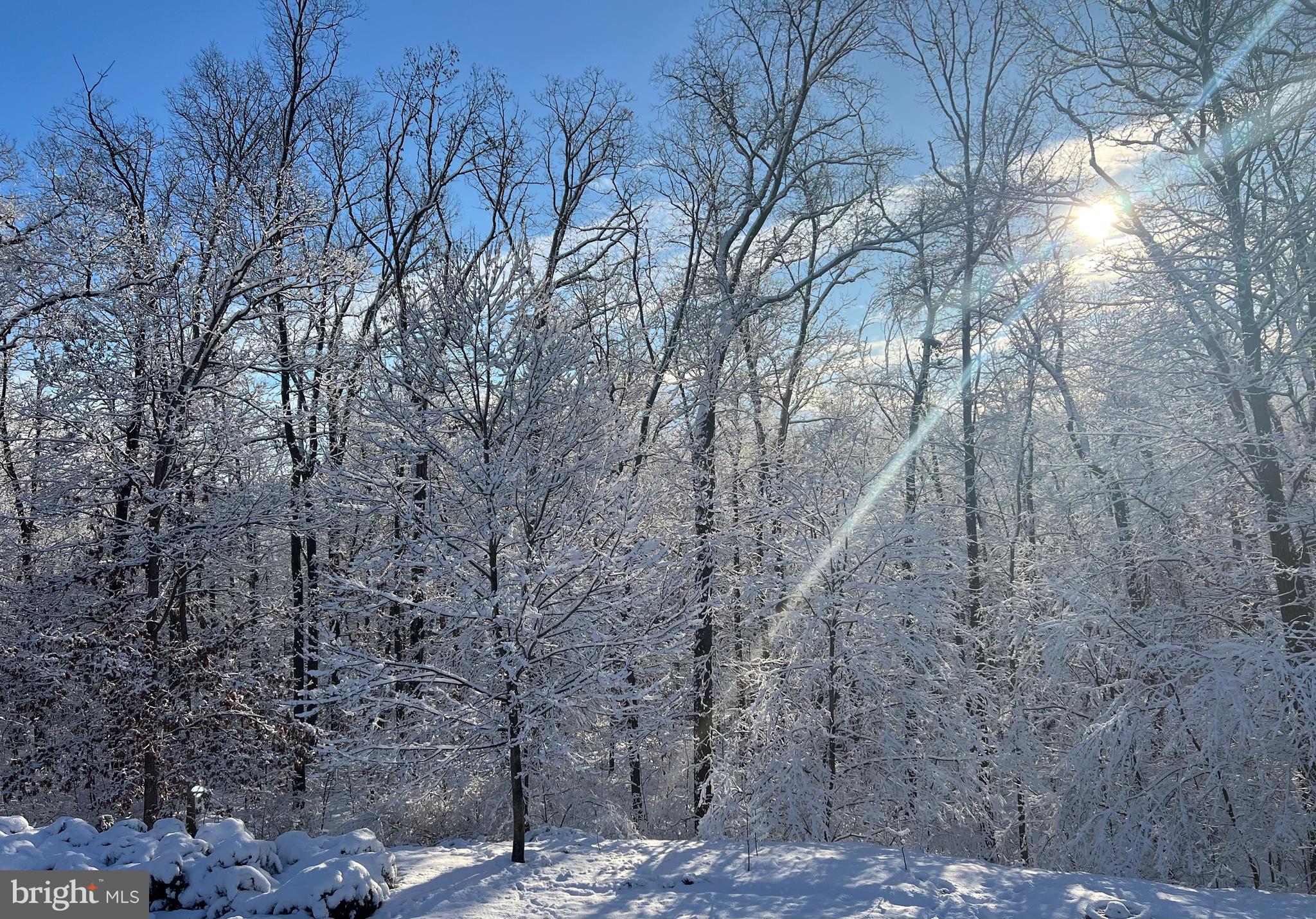 OAK LANE ESTATES - Residential