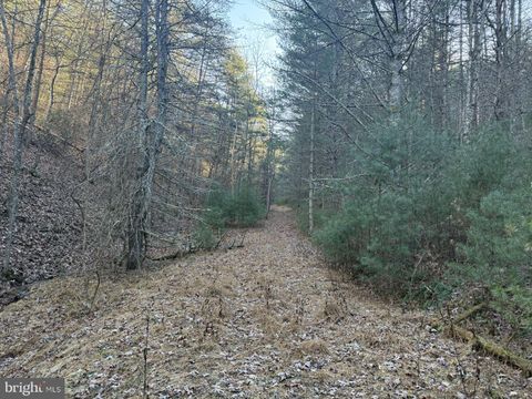 Vacant Land For Sale - Buck Hill Lane<br/> SUGAR GROVE, WV 26815