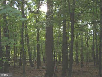 CAPON RIVER VISTA - Land