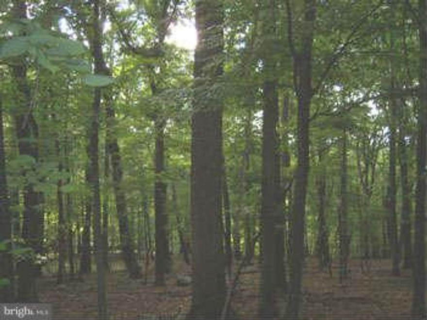 Cacapon River Access, this 5.5 acres has mature hardwoods and seasonal views, A nice lay of land with several options for building, The 5 acre water access lot is nearby for all your recreational enjoyment. Fishing ,Swimming, and canoeing all just waiting for you!