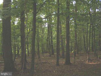 CAPON RIVER VISTA - Land