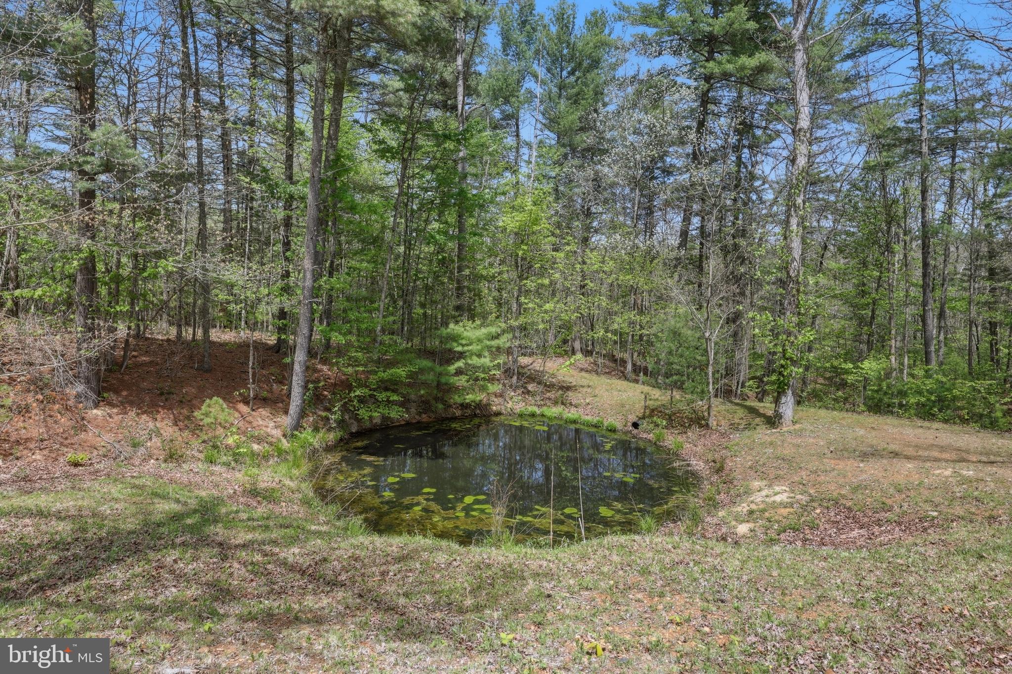 LAKE FERNDALE - Residential