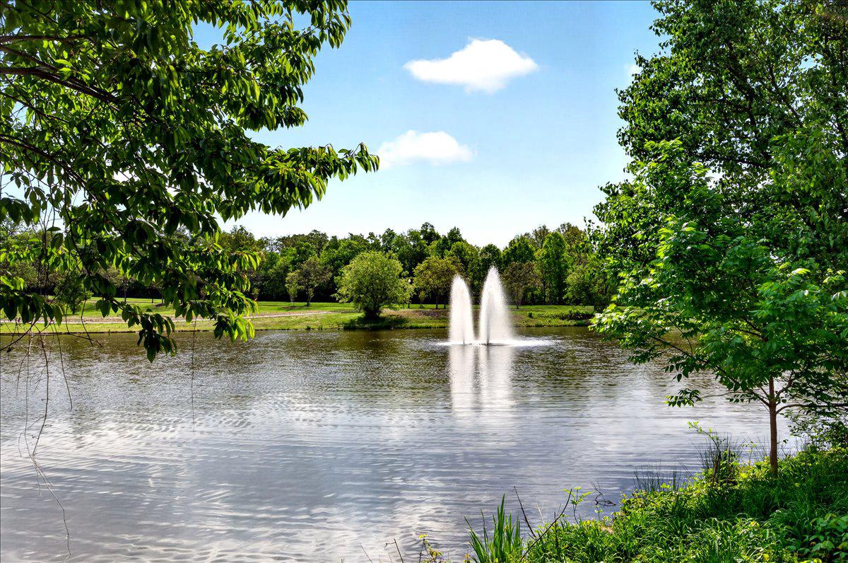 LAKESIDE AT SOUTH RIDING - Residential