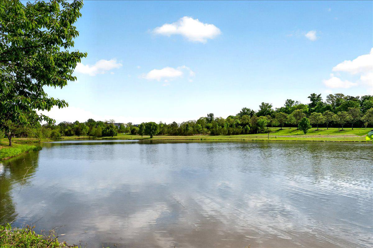 LAKESIDE AT SOUTH RIDING - Residential