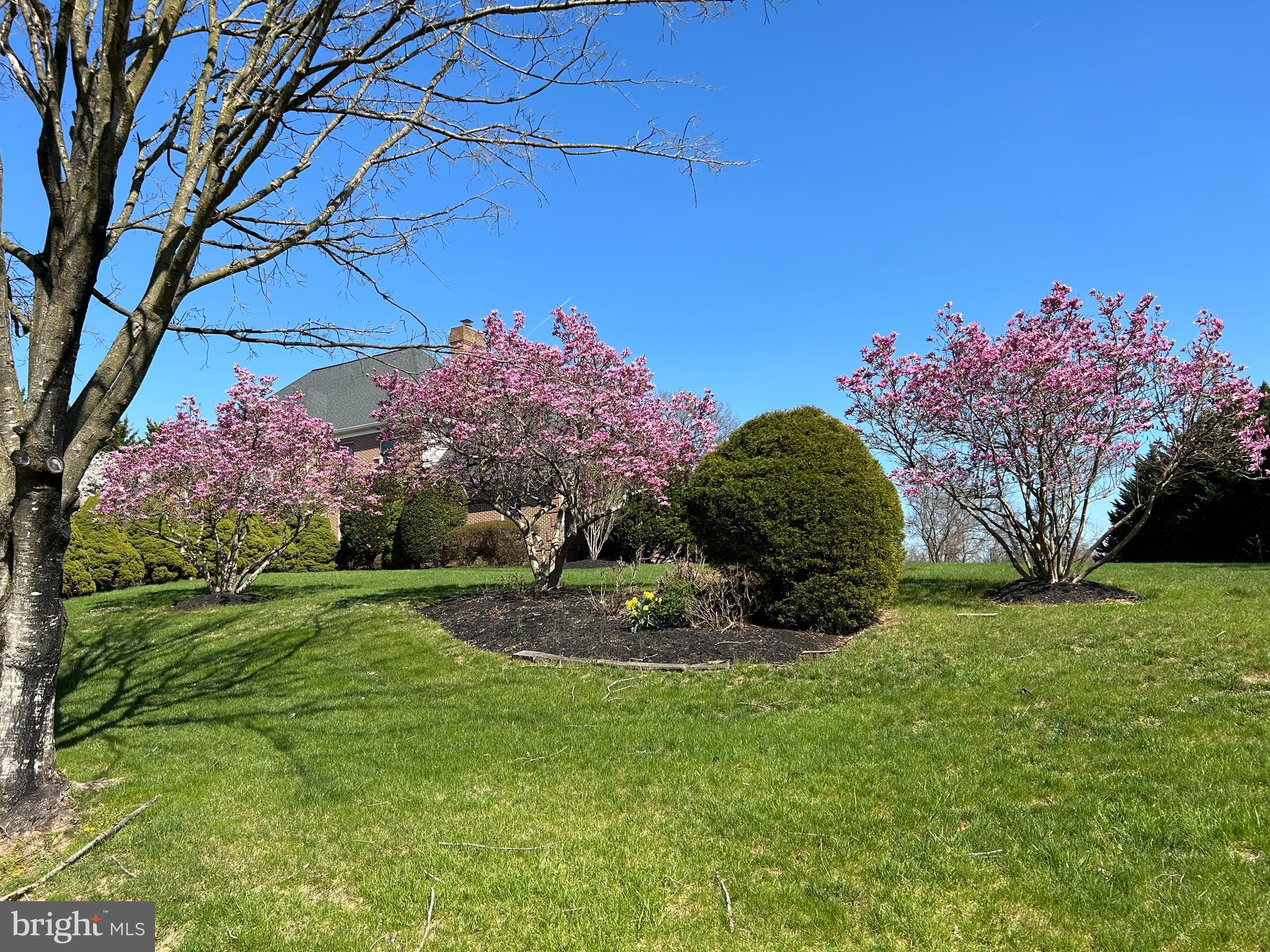 THE CHASE - Residential