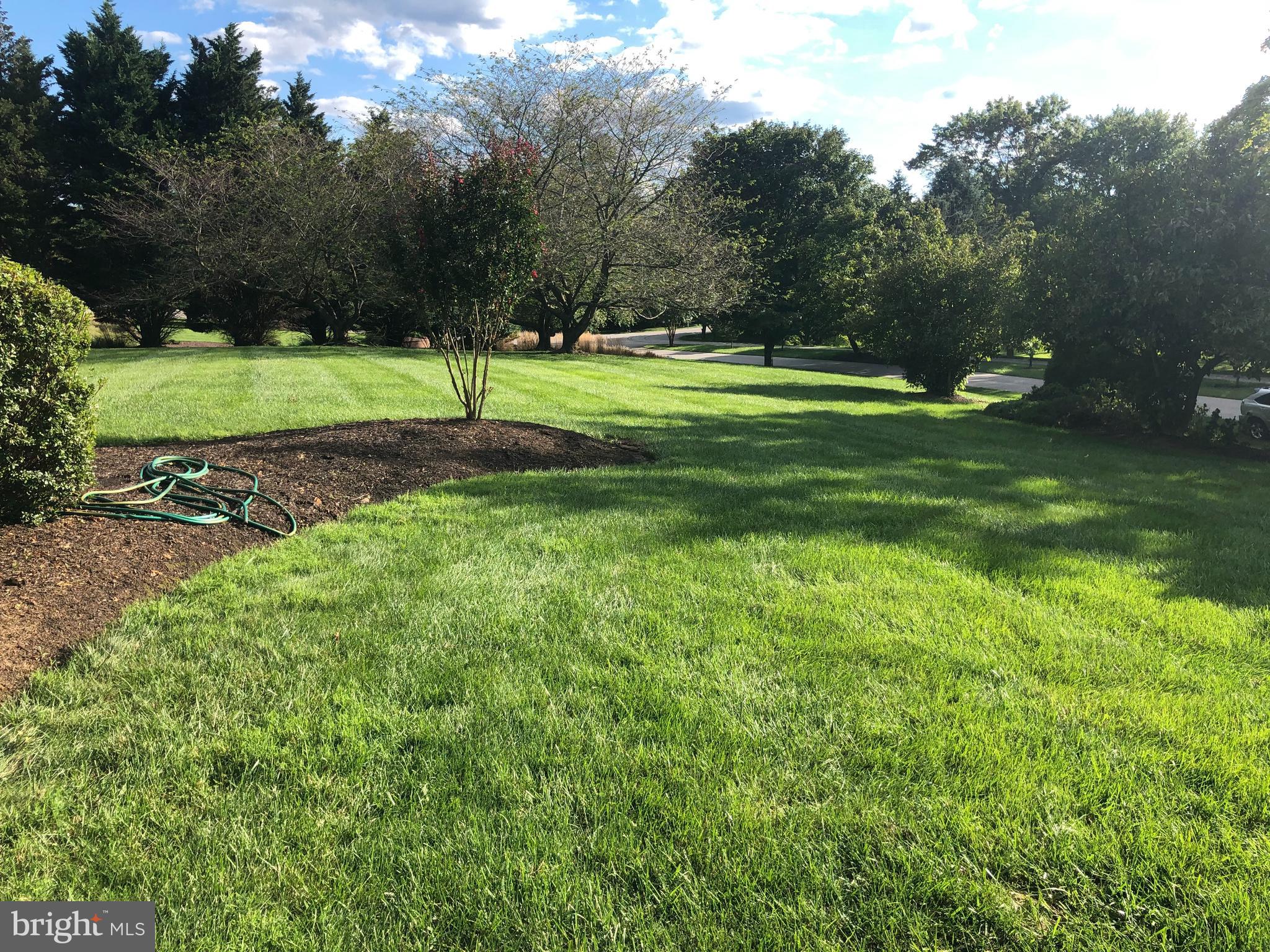 THE CHASE - Residential