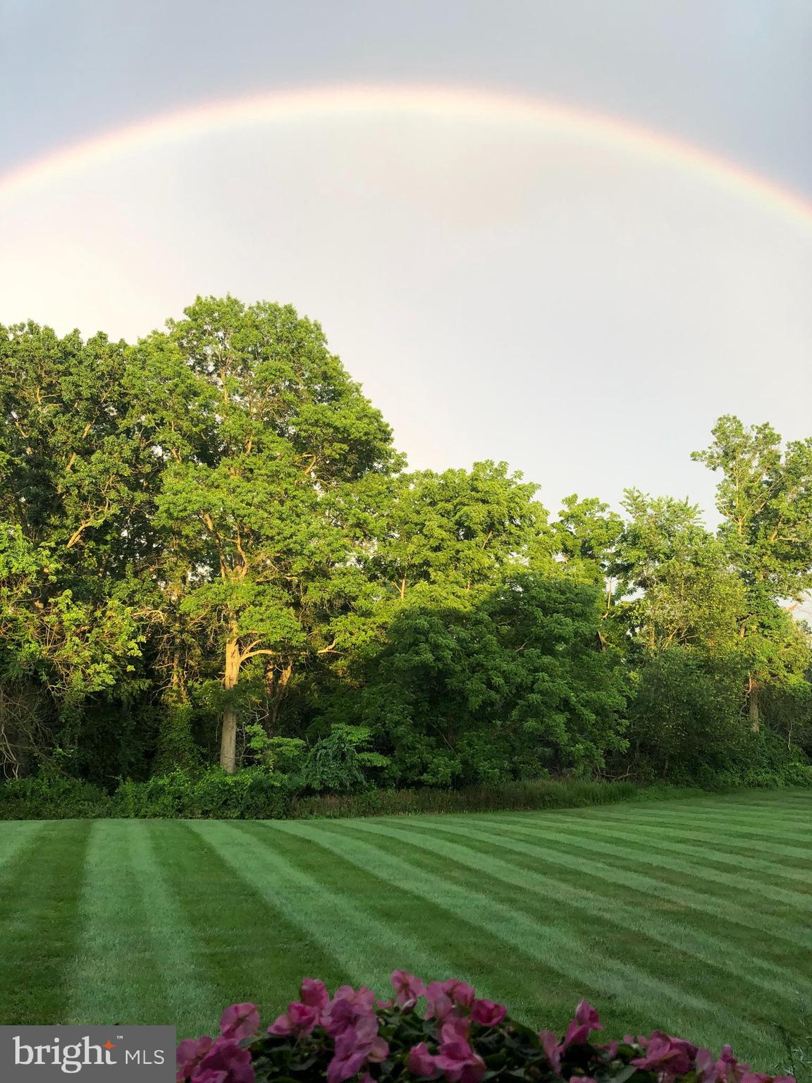 THE CHASE - Residential