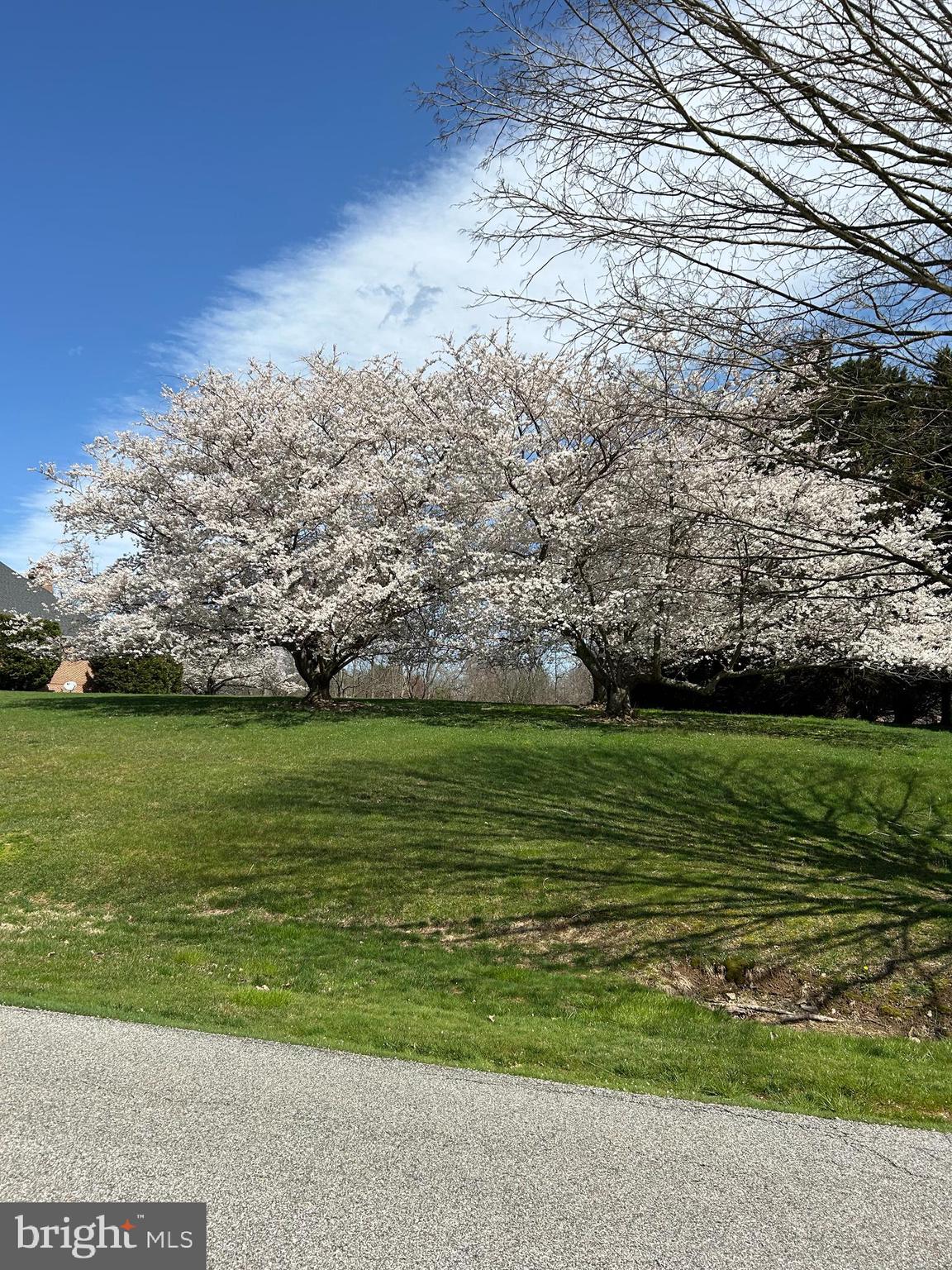 THE CHASE - Residential