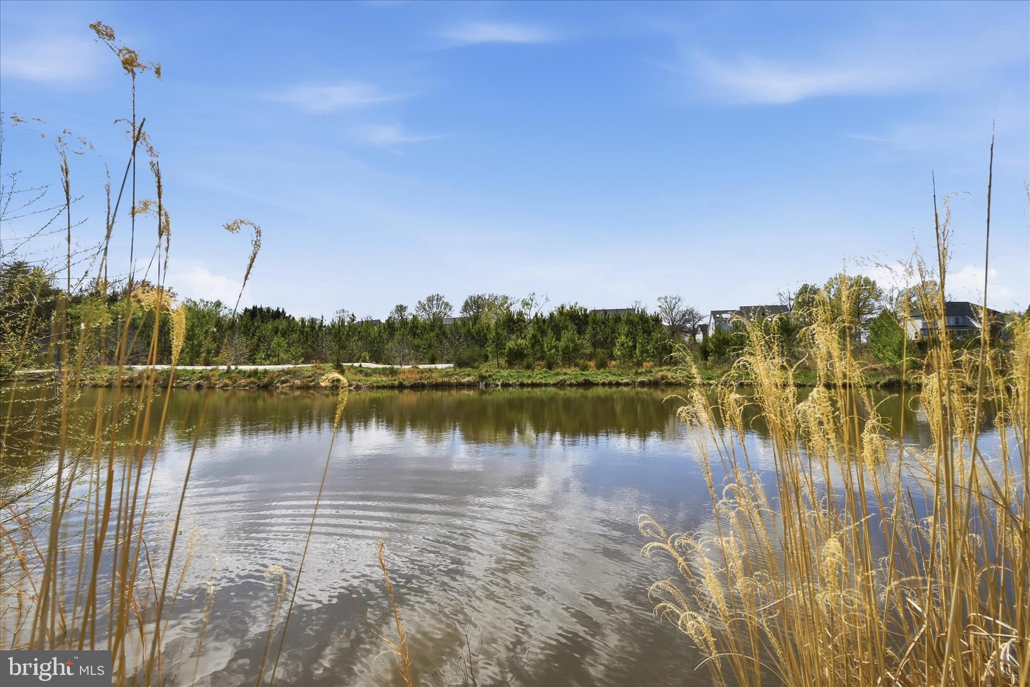 VIRGINIA OAKS - Residential