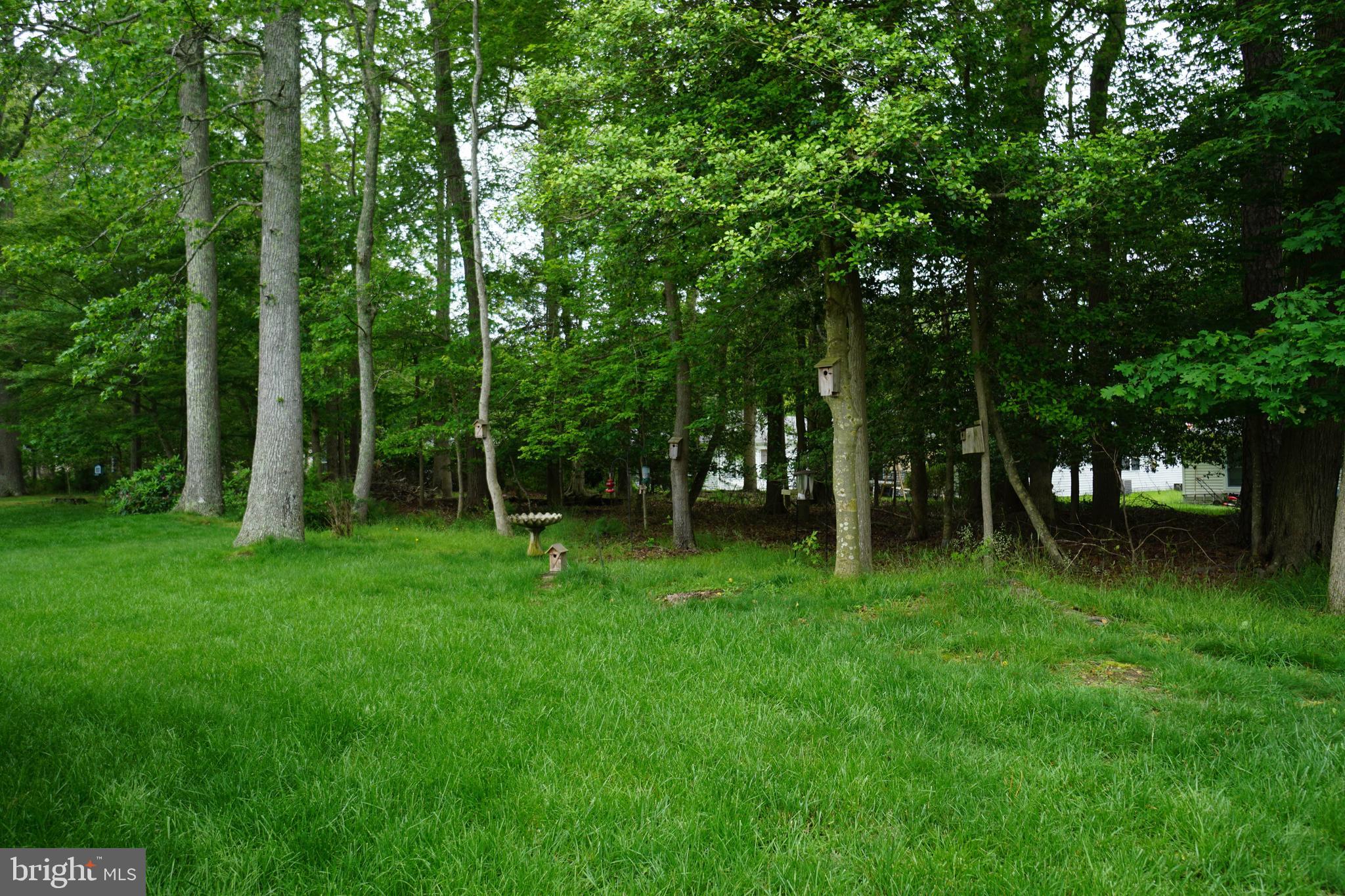 123 LANTERN PLACE