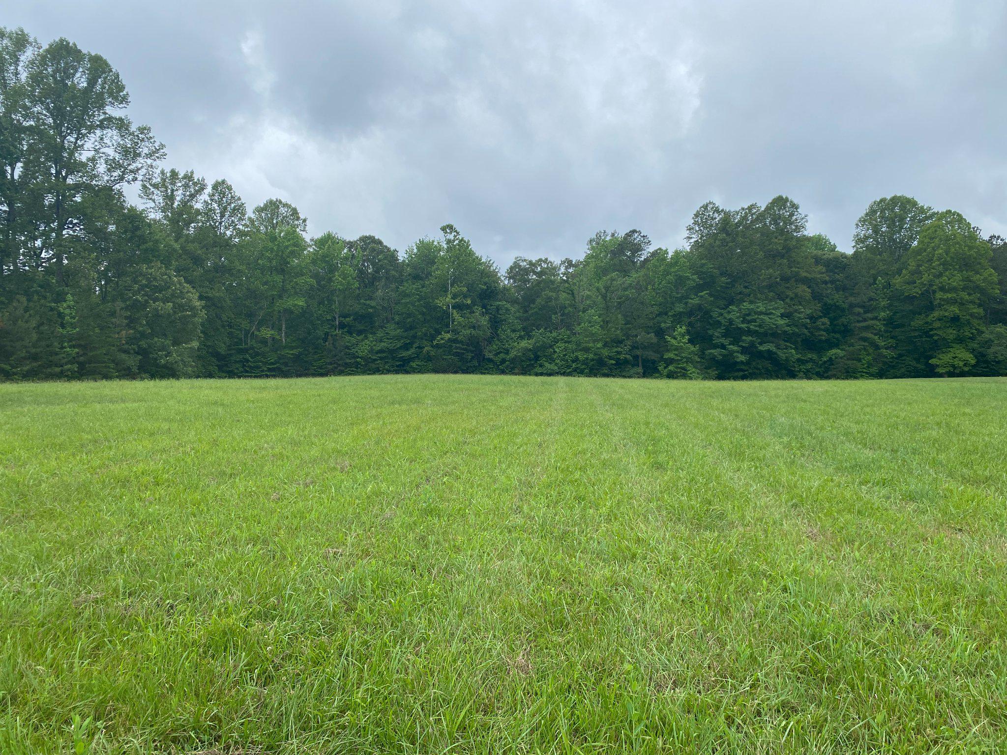 Property Search 27661 PERSIMMON LANE