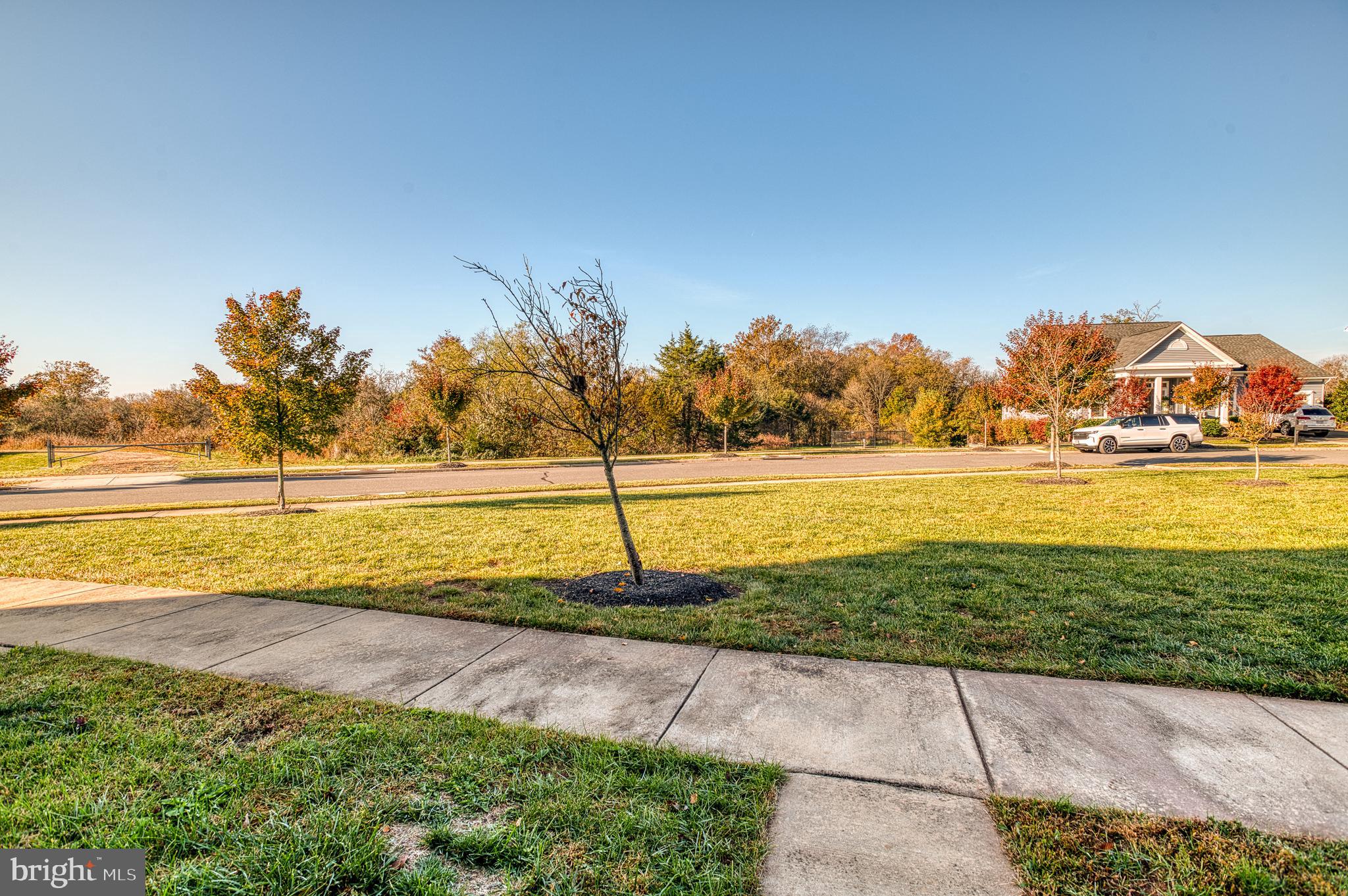 MINTBROOK - Residential Lease