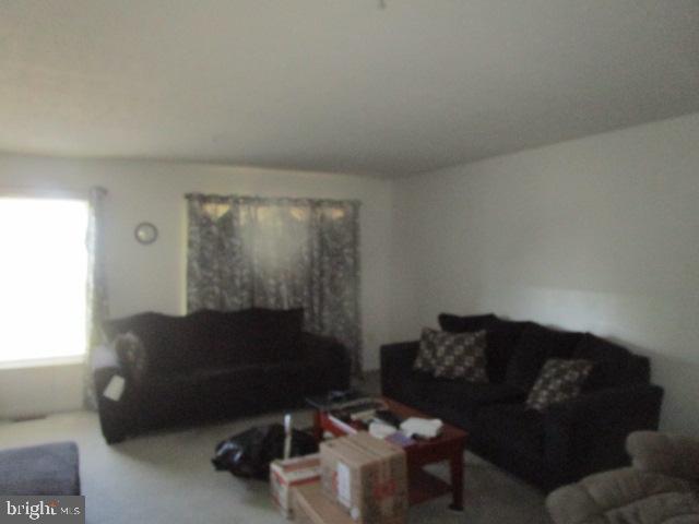 WASHINGTON WOODS - Residential