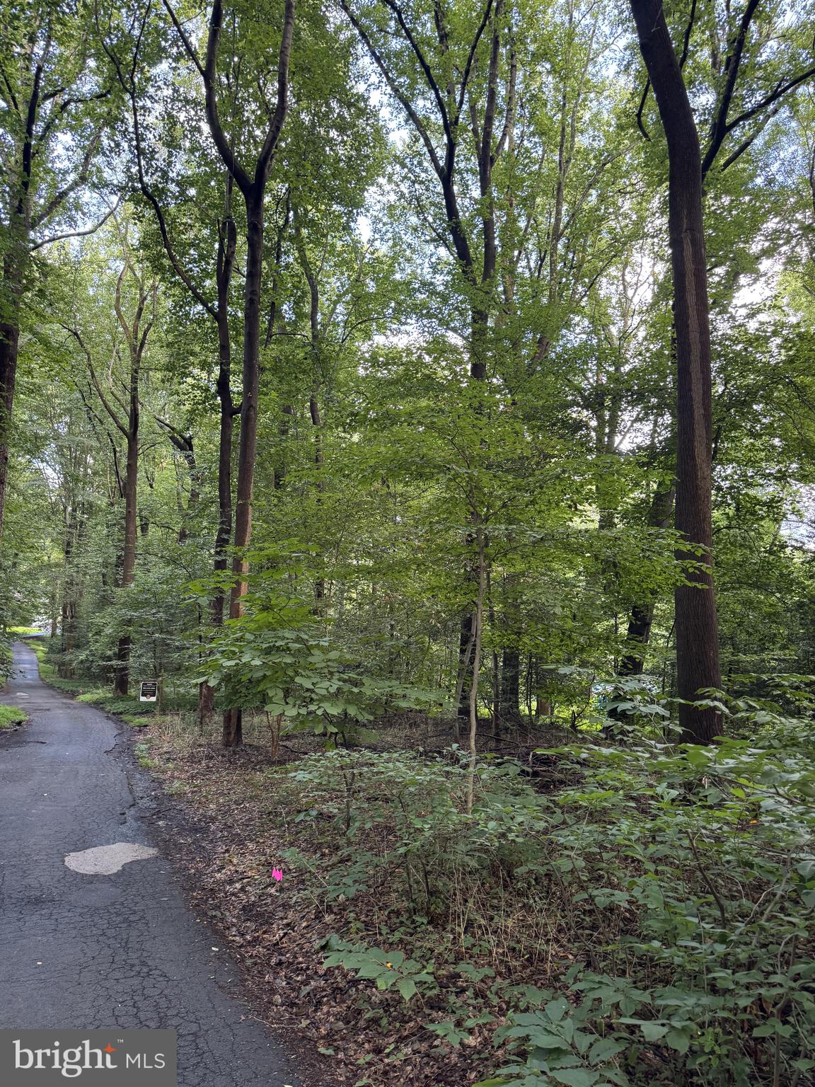 STERLING MONTAGUE DRIVE