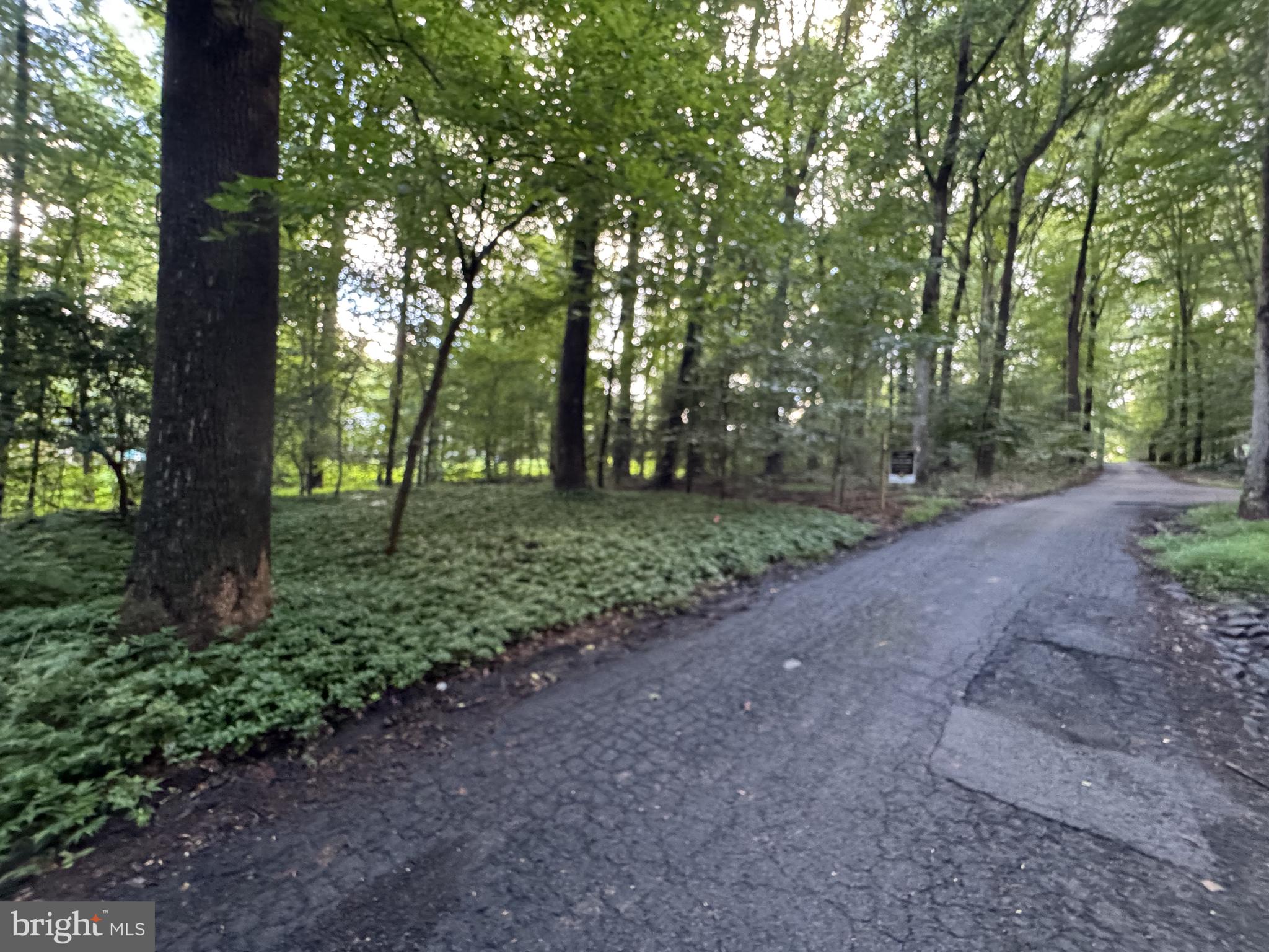 STERLING MONTAGUE DRIVE