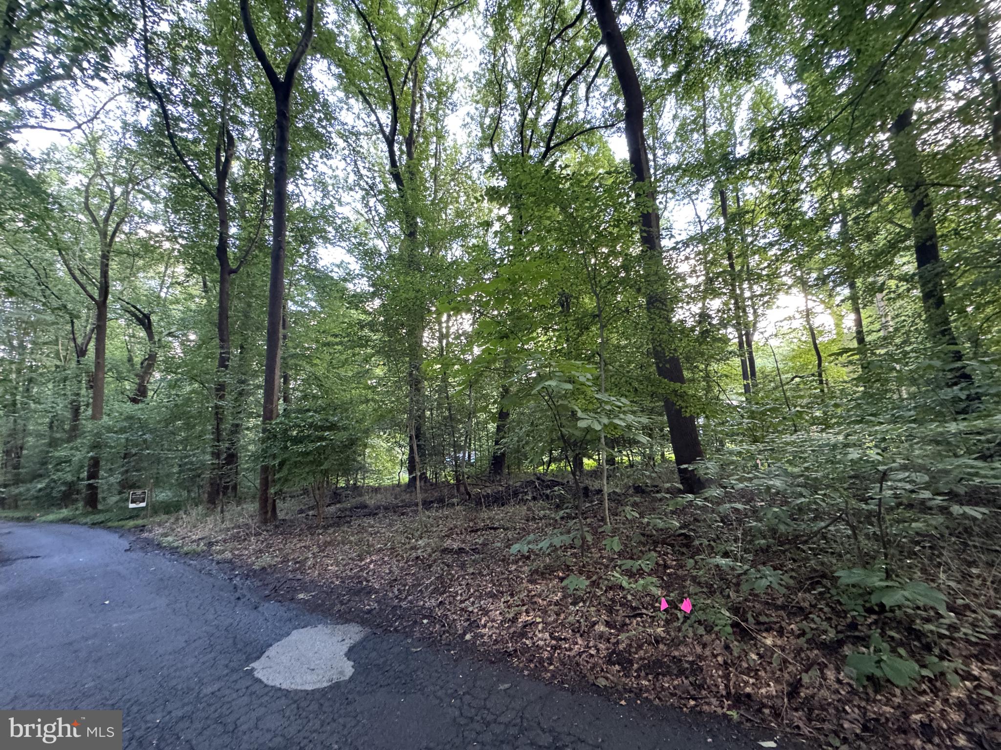 STERLING MONTAGUE DRIVE