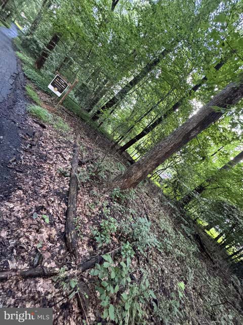 Photo for STERLING MONTAGUE DRIVE
