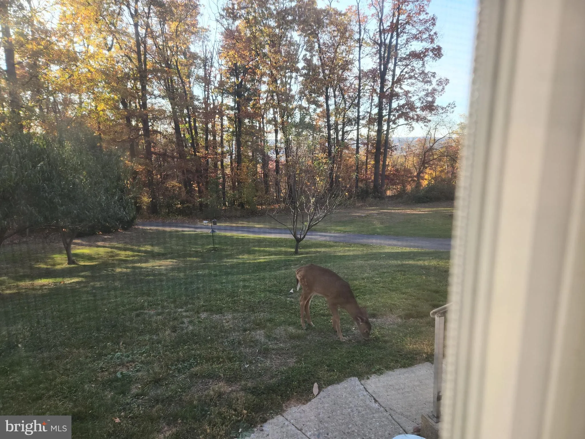 Hellam, Pennsylvania 17406, United States, 3 Bedrooms Bedrooms, ,2 BathroomsBathrooms,Residential,Pending,112274