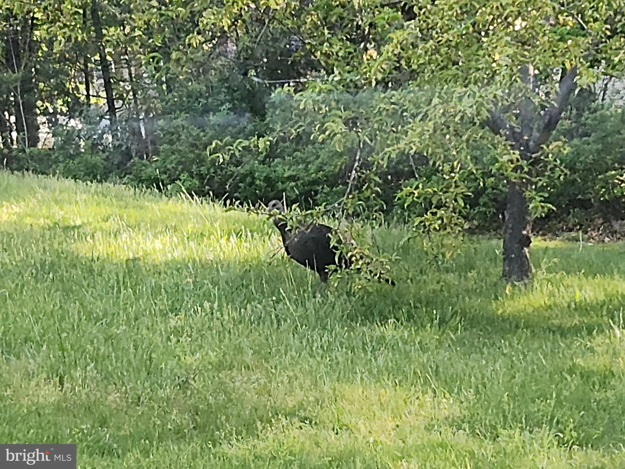 Hellam, Pennsylvania 17406, United States, 3 Bedrooms Bedrooms, ,2 BathroomsBathrooms,Residential,Pending,112274