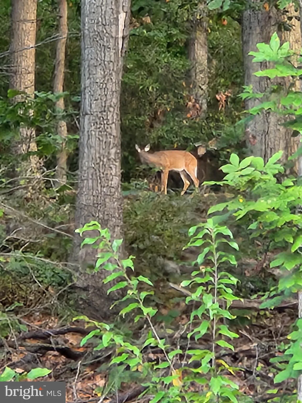 Hellam, Pennsylvania 17406, United States, 3 Bedrooms Bedrooms, ,2 BathroomsBathrooms,Residential,Pending,112274