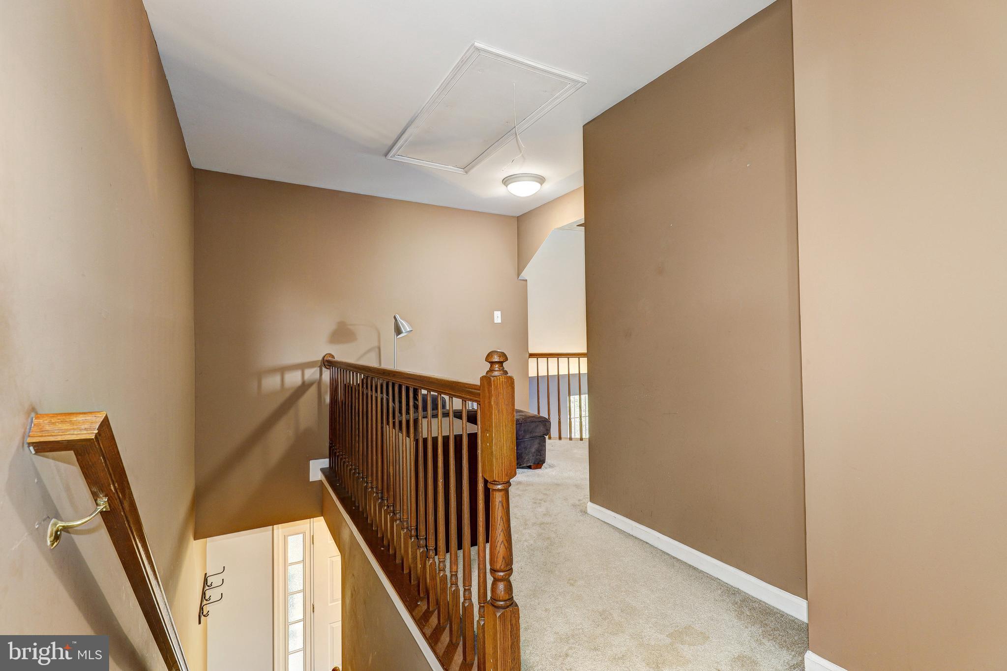 THE COOK - Residential