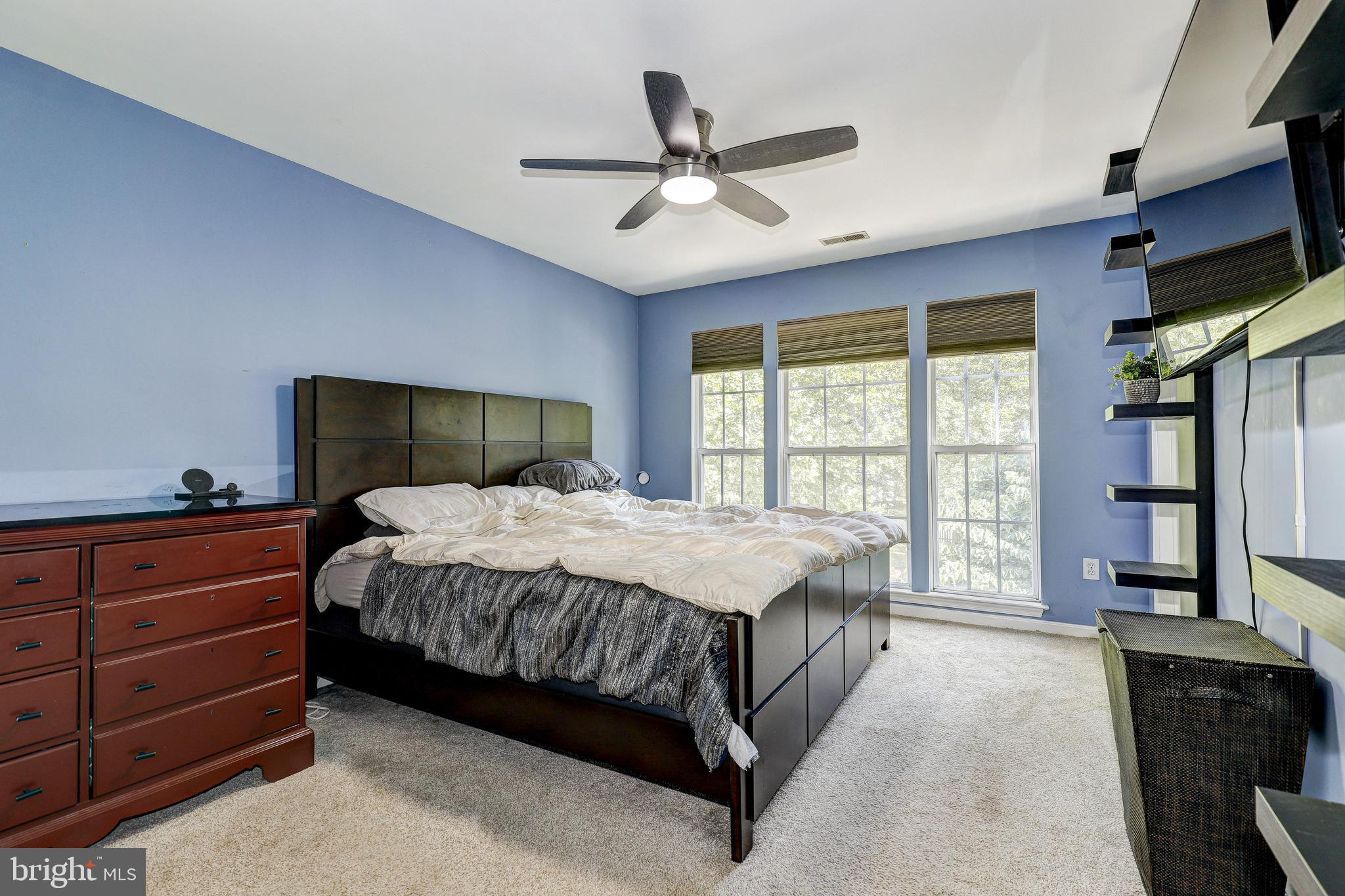 THE COOK - Residential