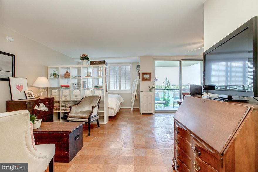 Charming efficiency in amenity-laden, well-managed Grosvenor Park III...Light and bright unit w/open floor plan; separate living and dining areas, renovated kitchen w/SS appliances, sweet balcony with morning sun overlooks 50+ acre park; extra large walk-in closet could also be used as office. Path to METRO, award winning market, dry cleaners, pool & tennis, party room ETC!