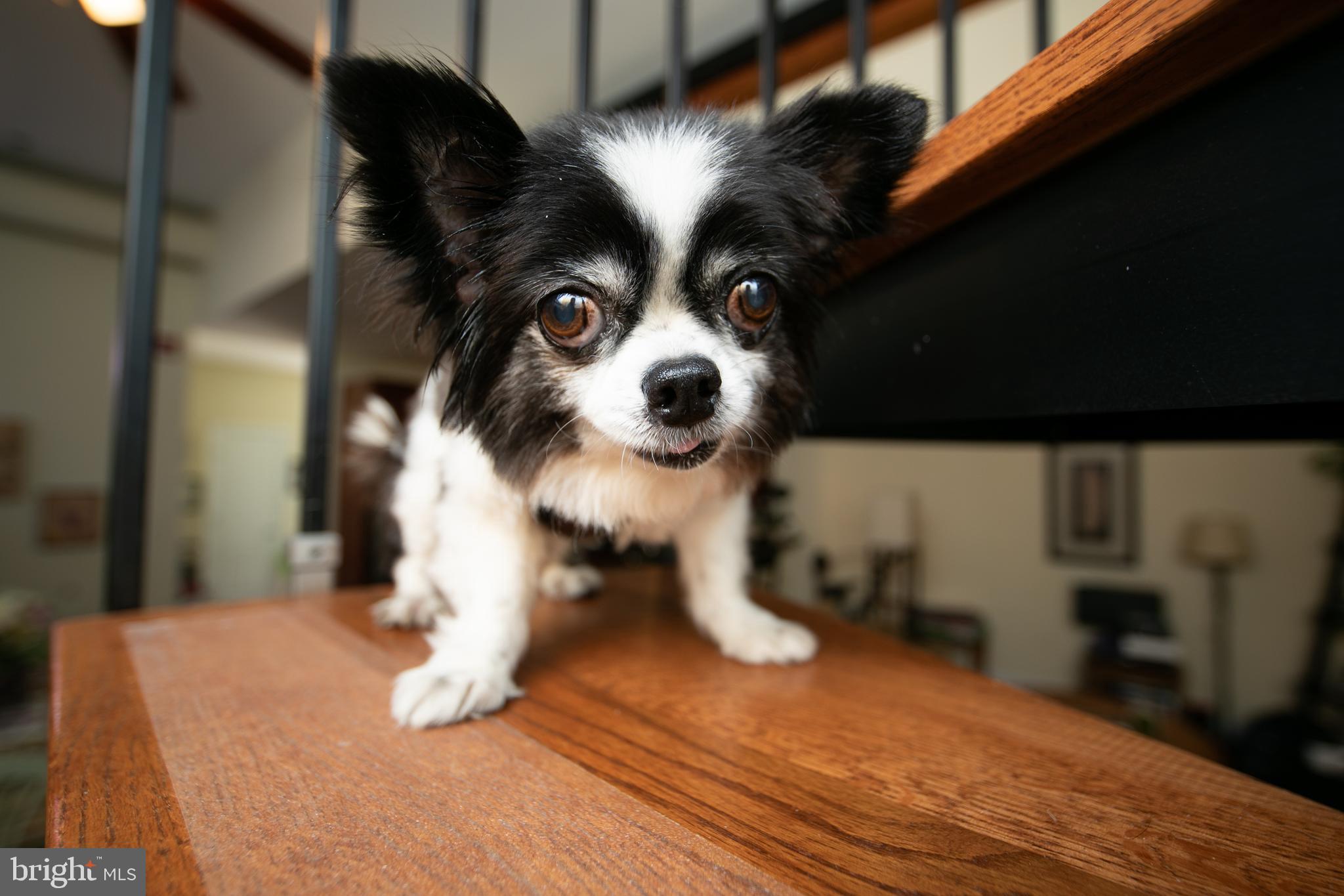 ROXBOROUGH - Residential