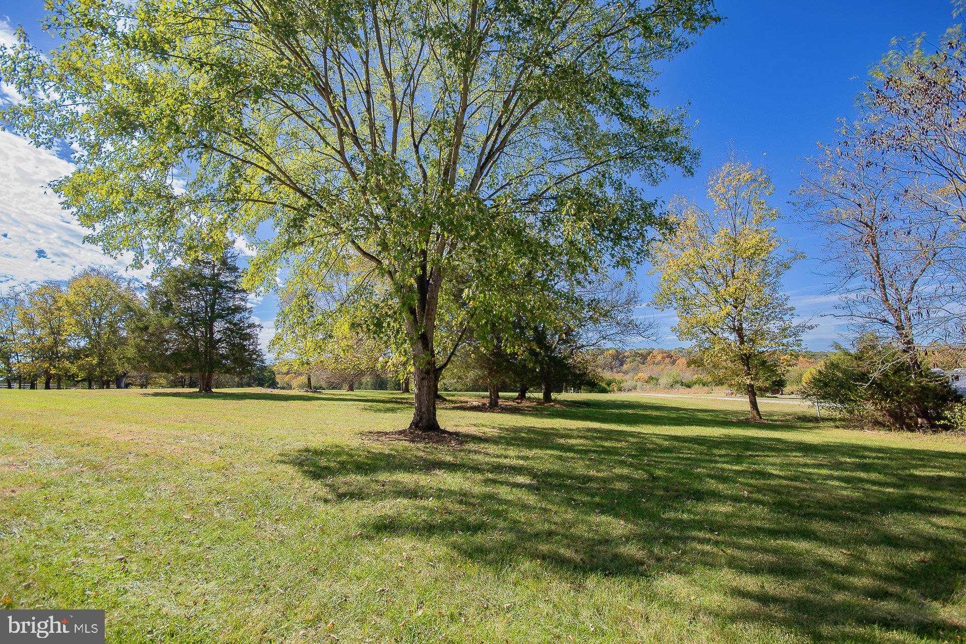 GREYSTONE ON THE OPEQUON - Residential