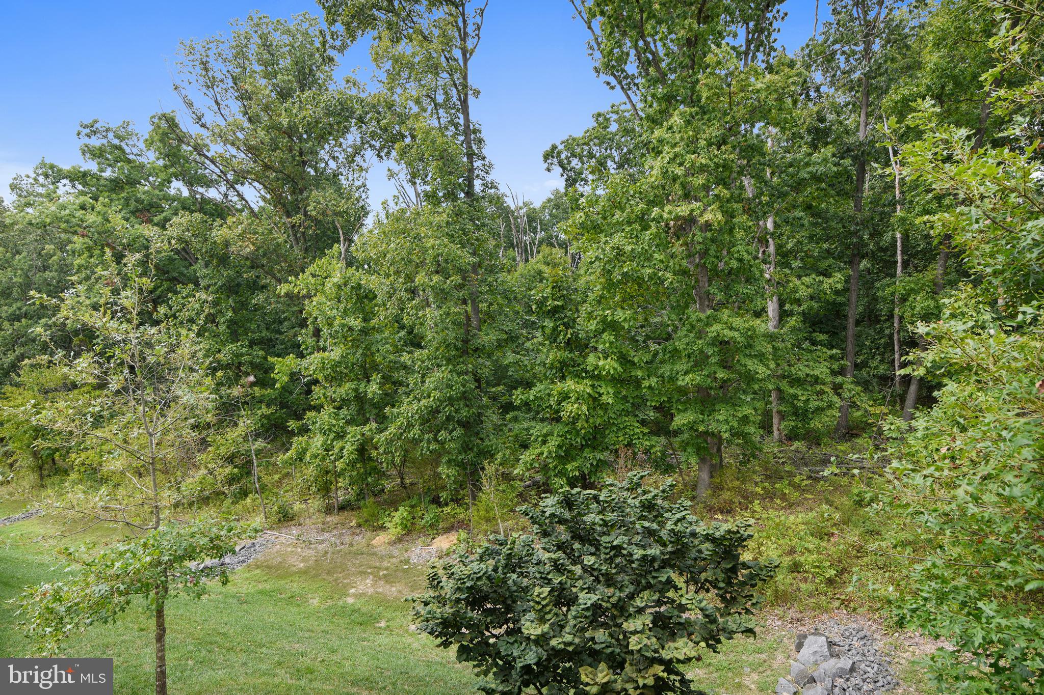 ALEXANDERS CHASE - Residential