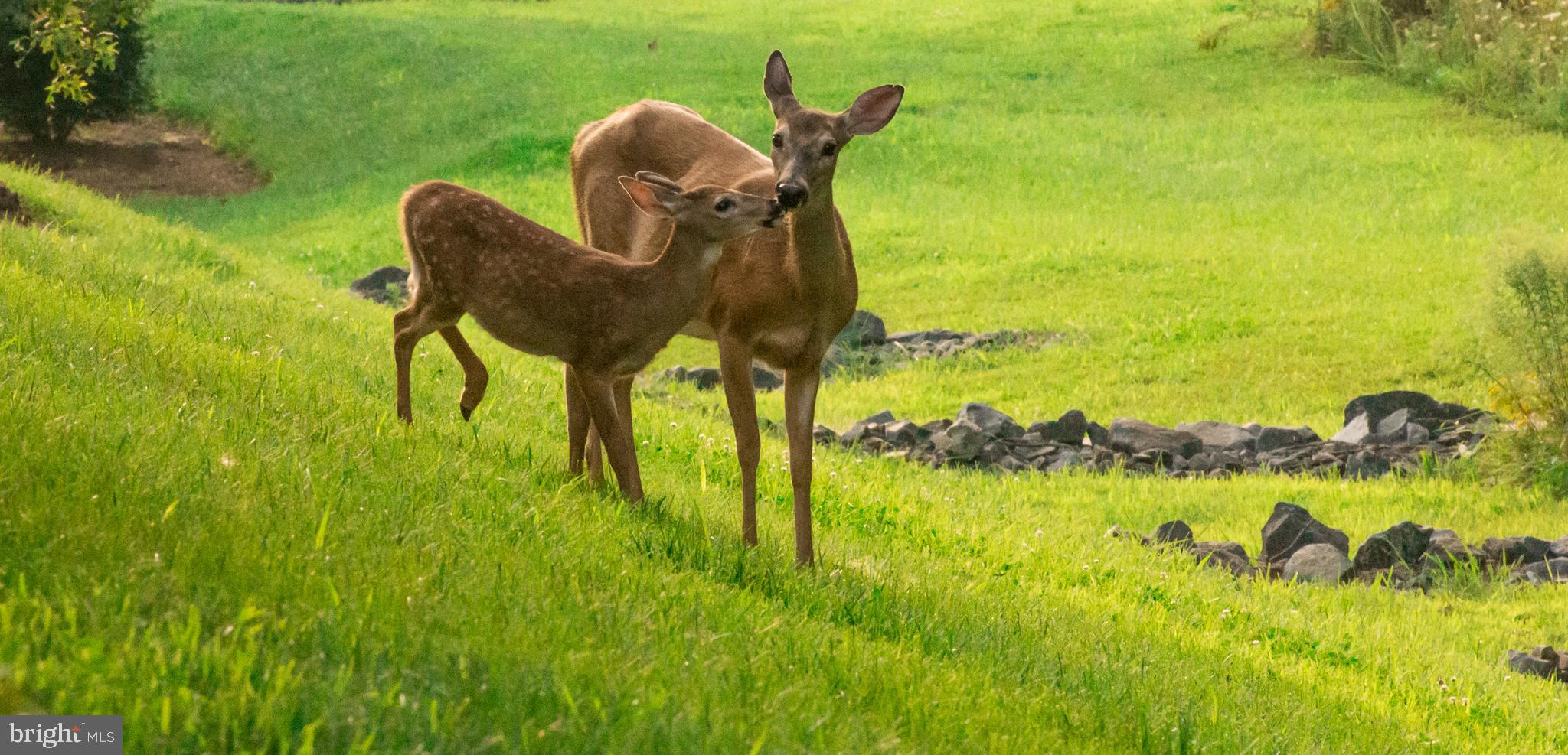 ALEXANDERS CHASE - Residential