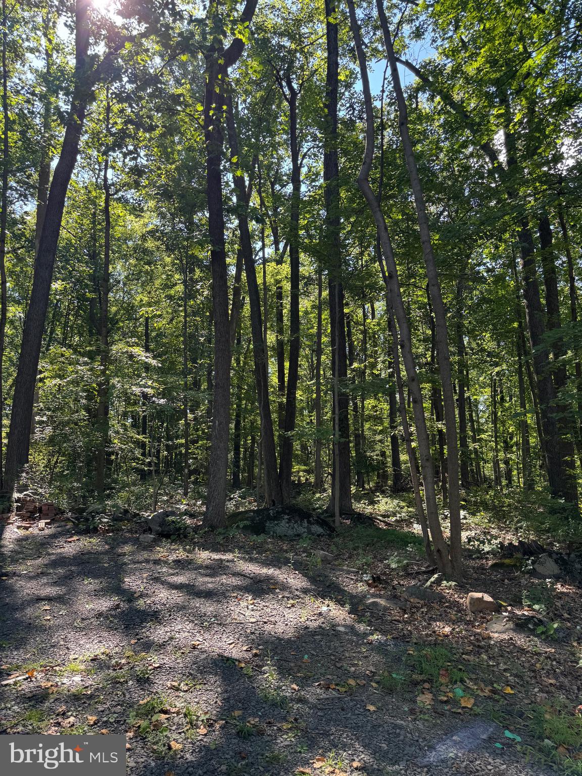 468 ROCK RIDGE ROAD