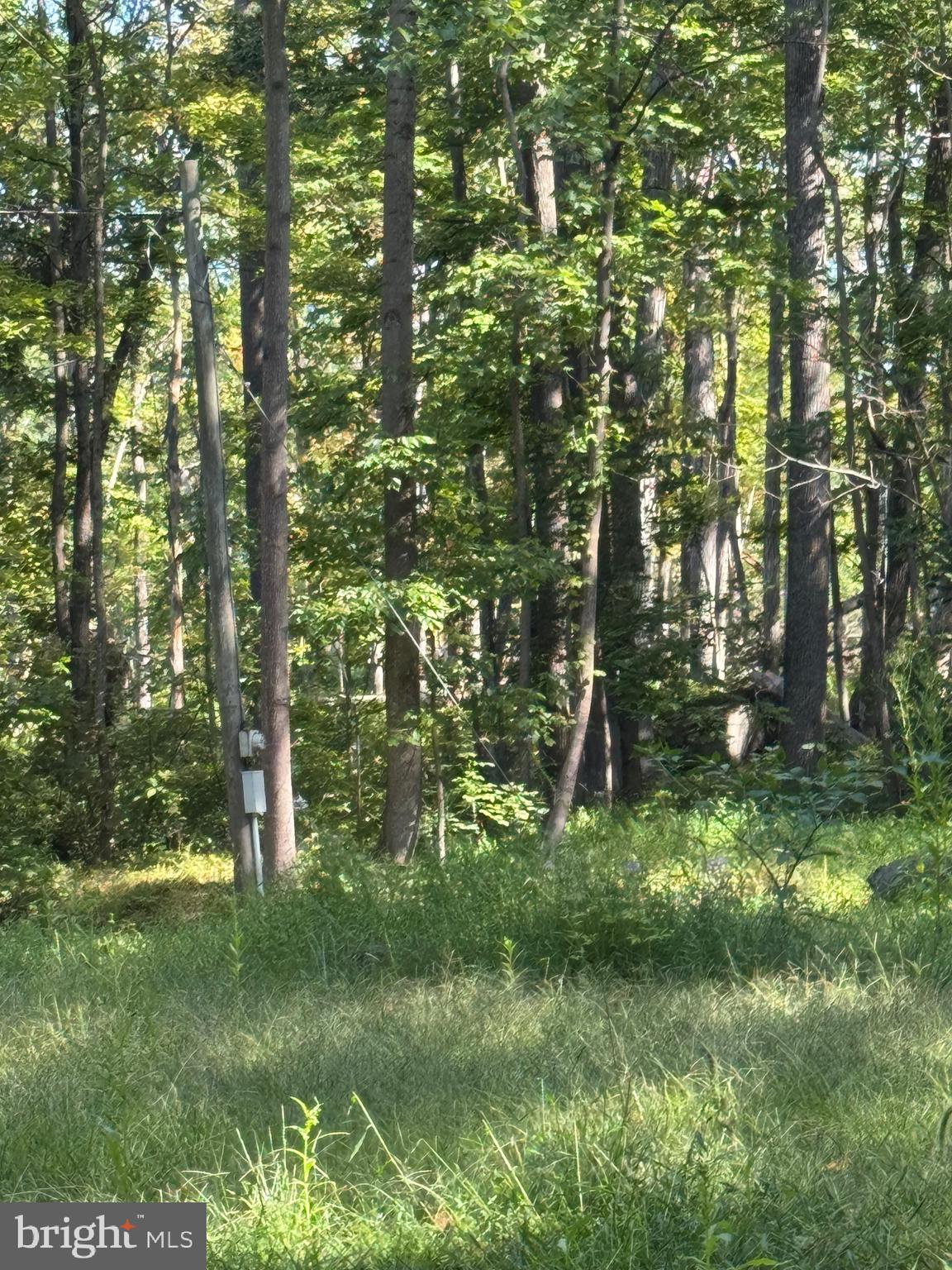 468 ROCK RIDGE ROAD
