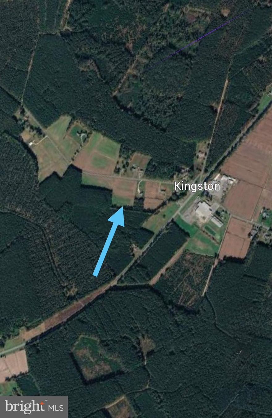 Discover a serene 6.04-acre parcel nestled just off Route 413 in Kingston, Maryland. Currently used for agriculture, this cleared lot offers endless possibilities. Imagine transforming it into your dream home retreat or a recreational or hunting haven. Mature trees at the rear provide a natural buffer, ensuring privacy and creating a tranquil atmosphere. Don’t miss out on this versatile and beautiful land. The property would be an ideal place to build a home. However, buyers must contact the Somerset County Health Department to obtain a sanitary construction permit. The property was evaluated in 2004, and the perc test results were acceptable. It’s worth noting that this area of Somerset County is known for its quiet beauty, strong, sense of community and its convenient proximity to route 413. Go and show anytime!