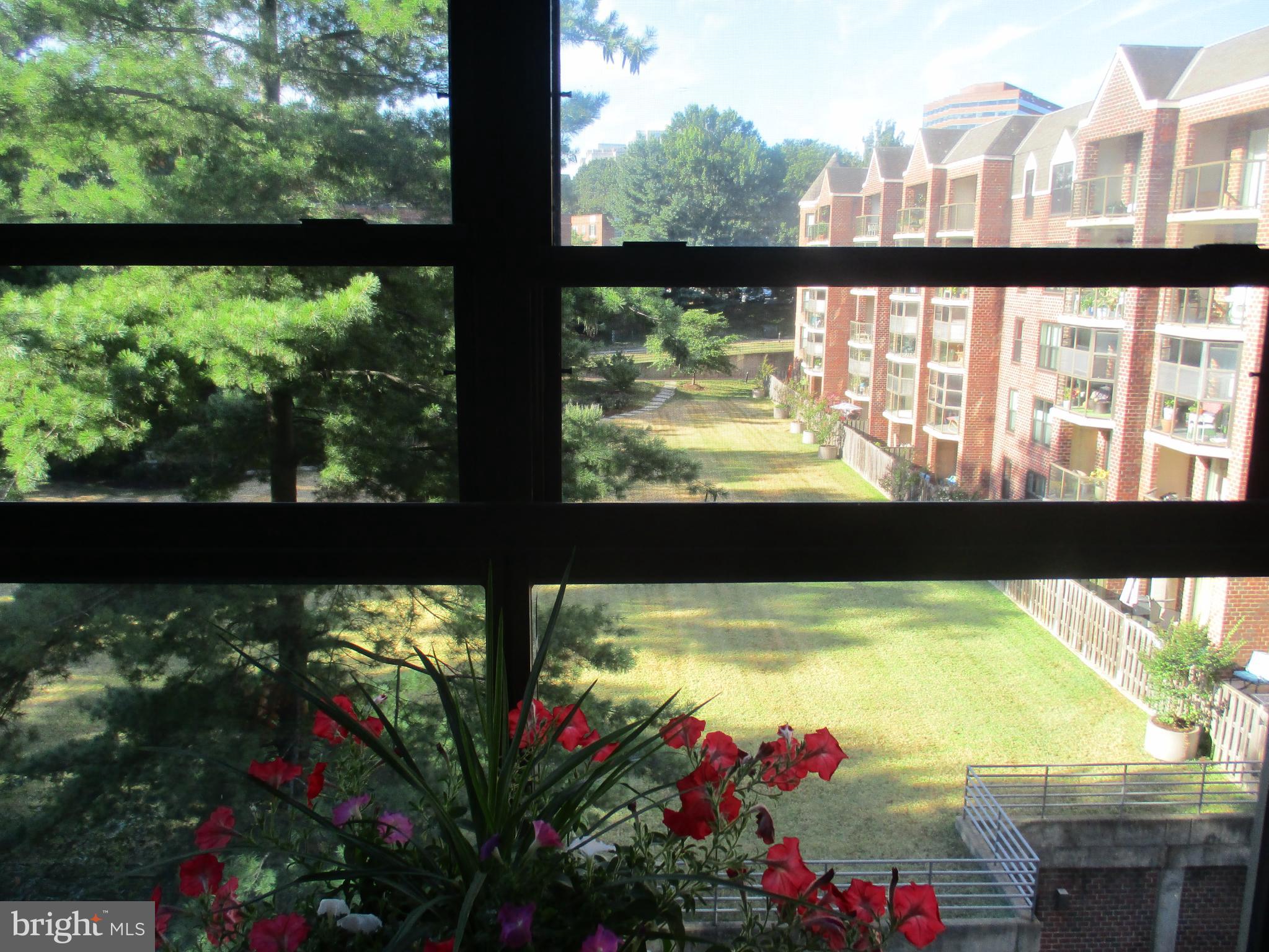 ASTORIA CONDOMINIUM - Residential Lease