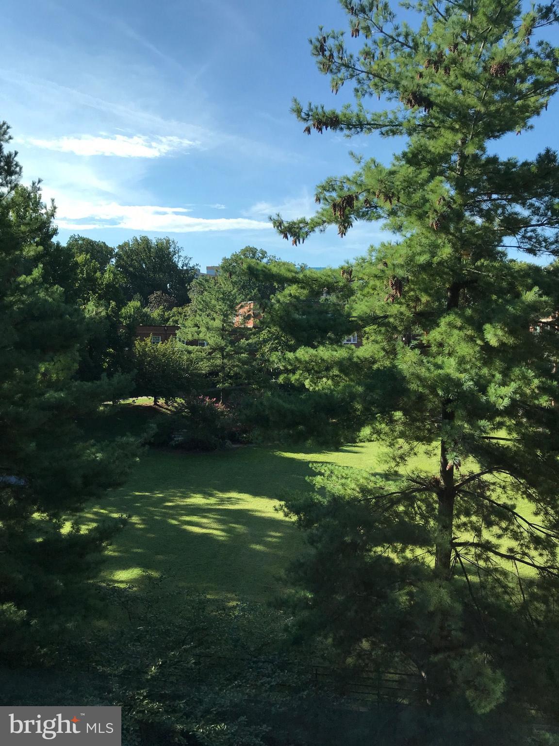 ASTORIA CONDOMINIUM - Residential Lease